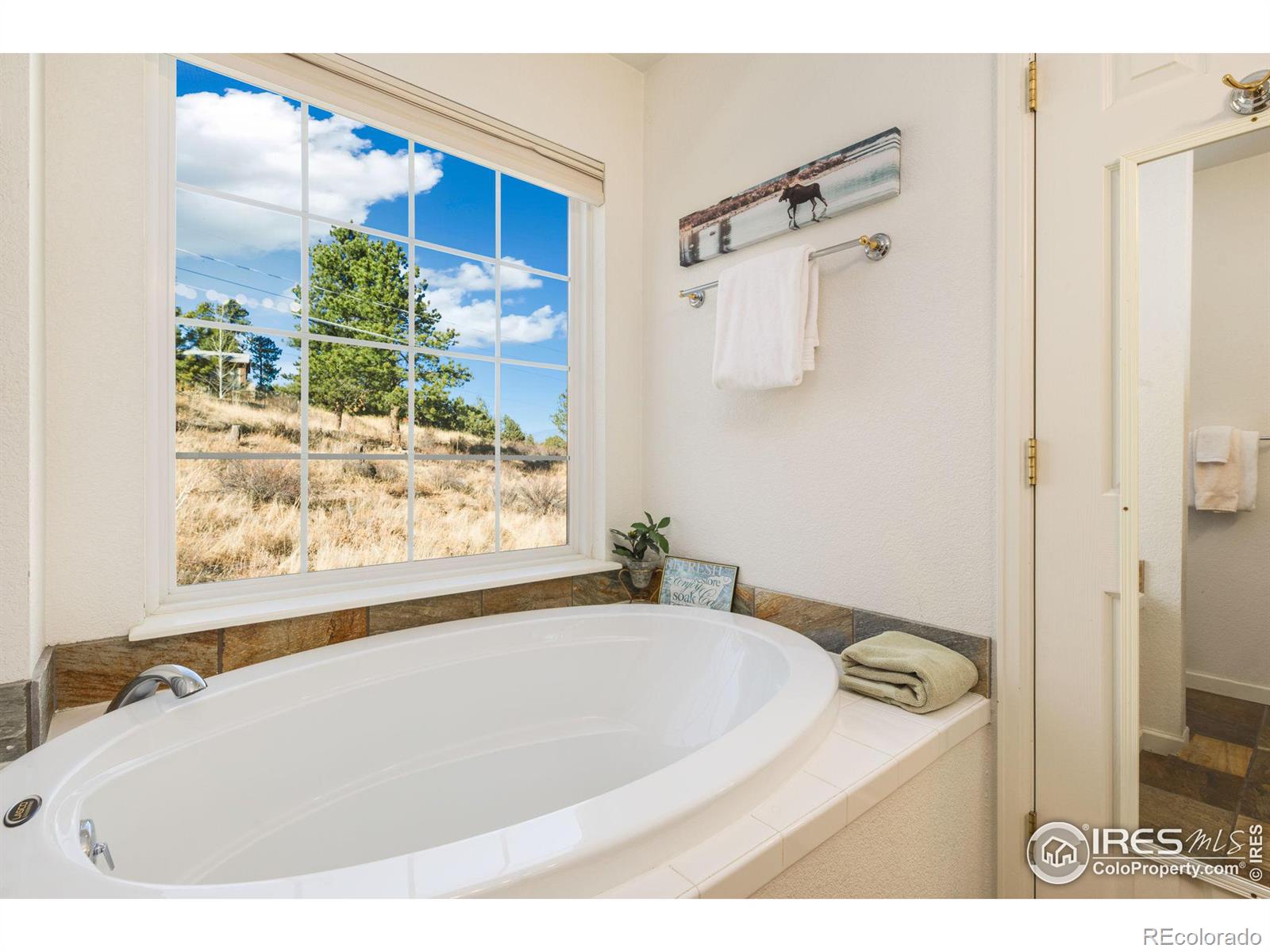 MLS Image #20 for 1615  brook court,estes park, Colorado