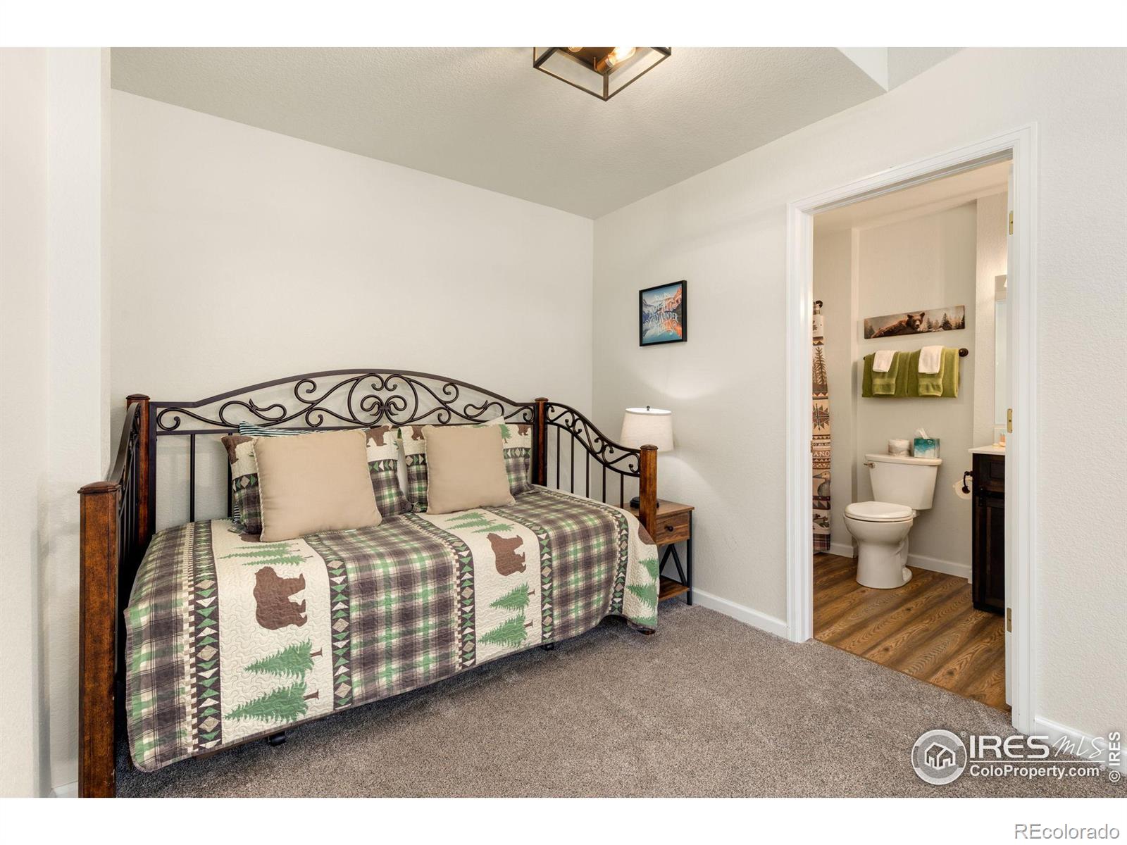 MLS Image #24 for 1615  brook court,estes park, Colorado