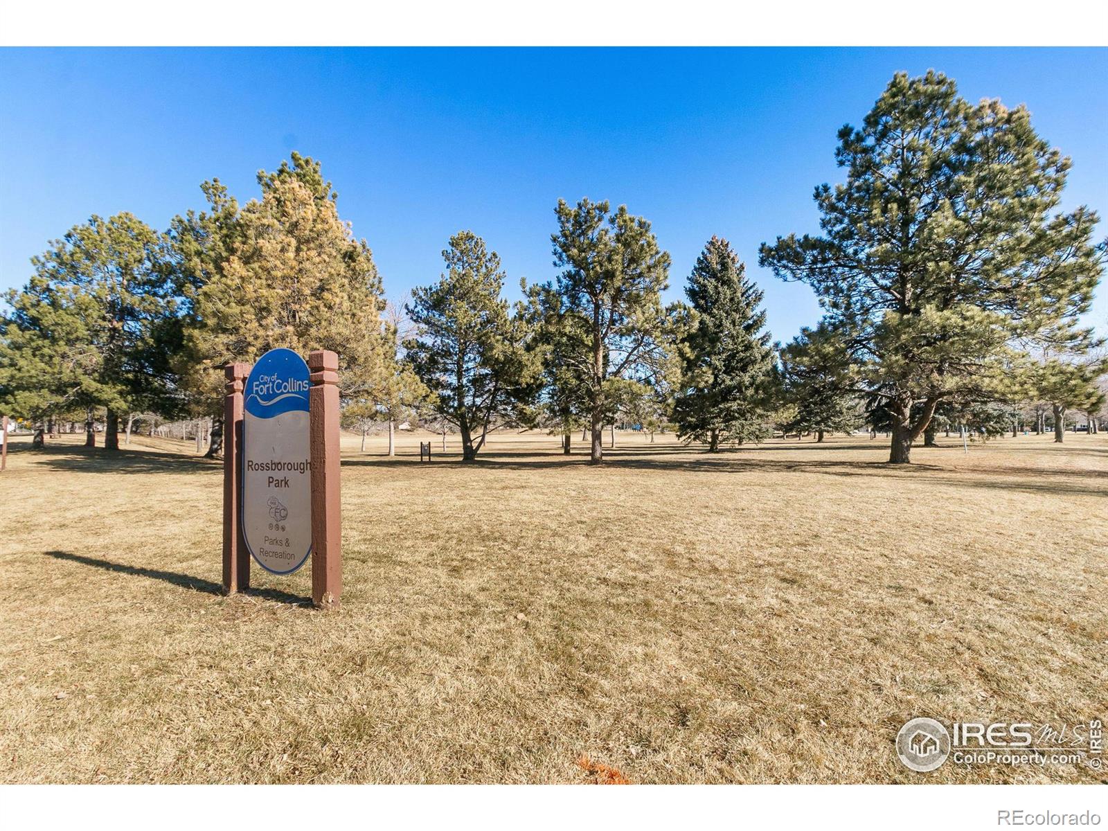 MLS Image #30 for 3231  kittery court,fort collins, Colorado