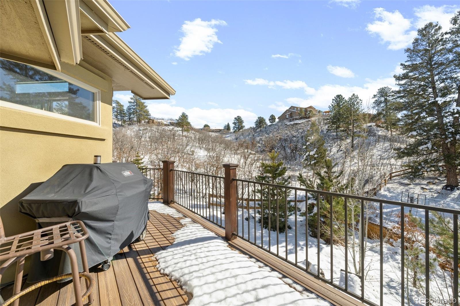 MLS Image #45 for 2769  hawk point court,castle rock, Colorado