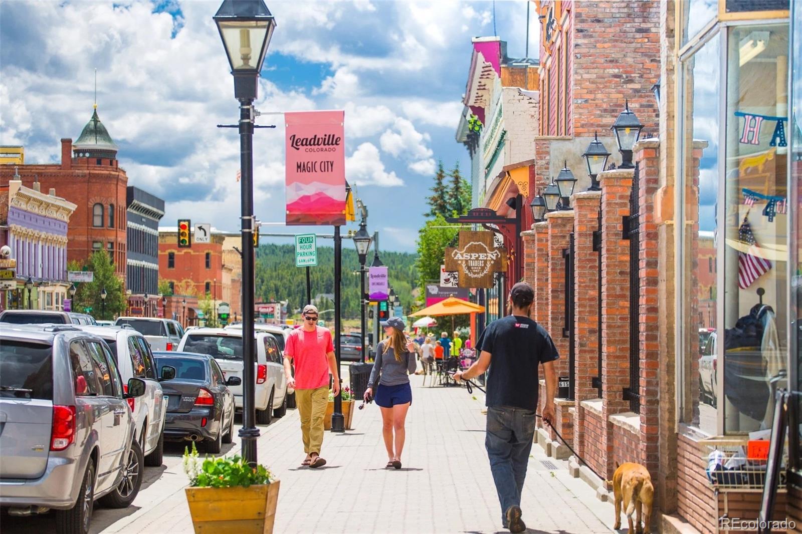 MLS Image #27 for 109  brooklyn circle,leadville, Colorado