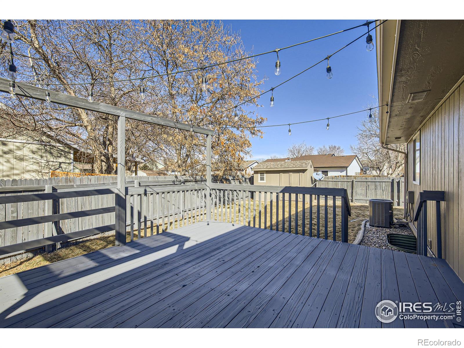 MLS Image #4 for 910  nantucket street,windsor, Colorado