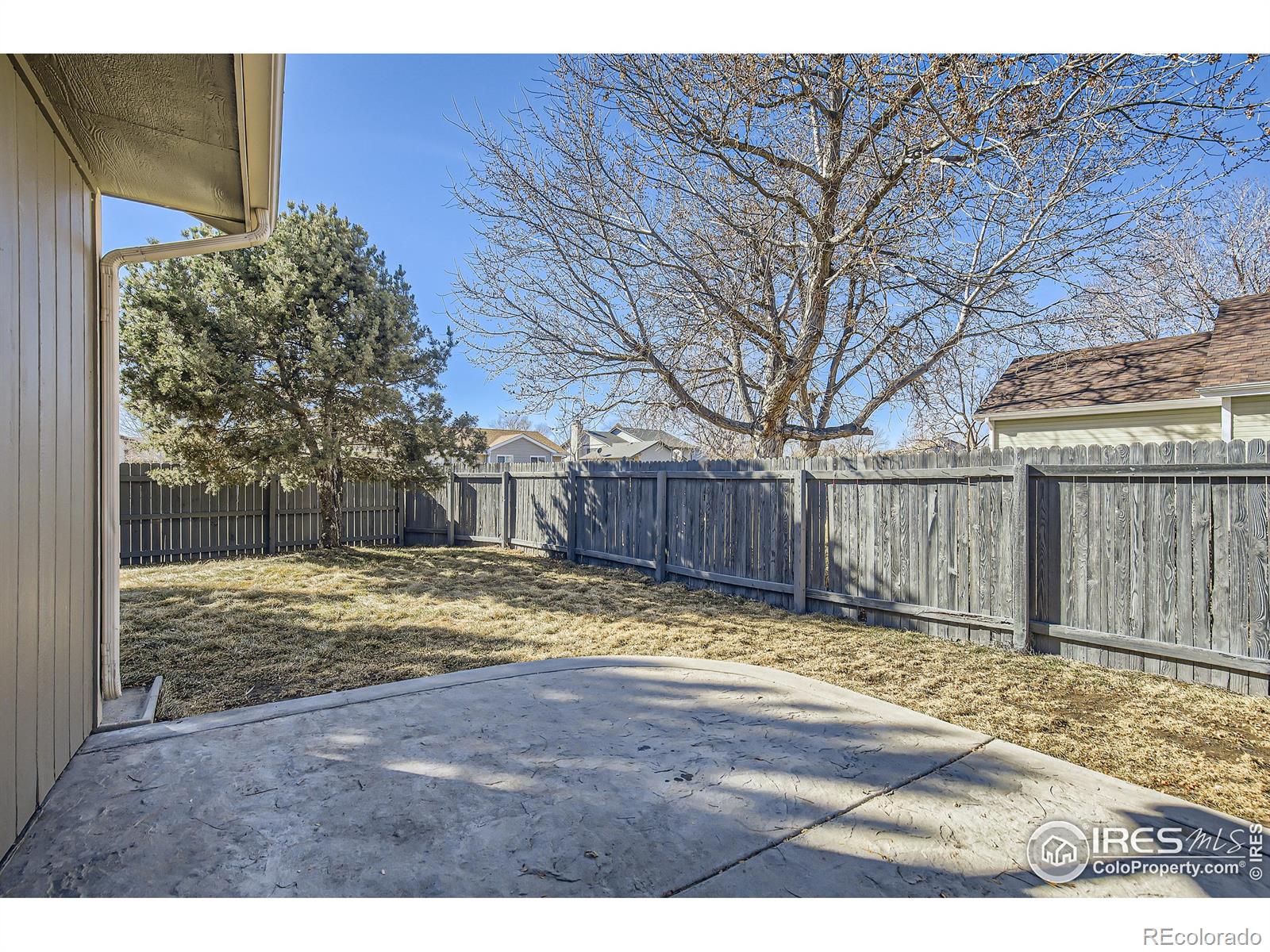 MLS Image #6 for 910  nantucket street,windsor, Colorado