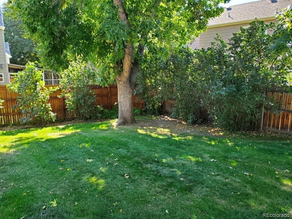 MLS Image #19 for 7075  independence street,arvada, Colorado