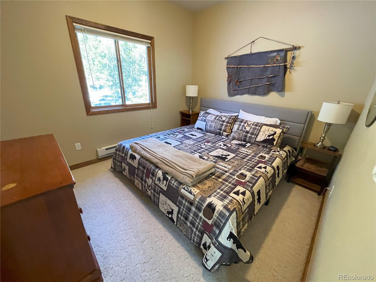 MLS Image #15 for 22526  county road 292 ,nathrop, Colorado