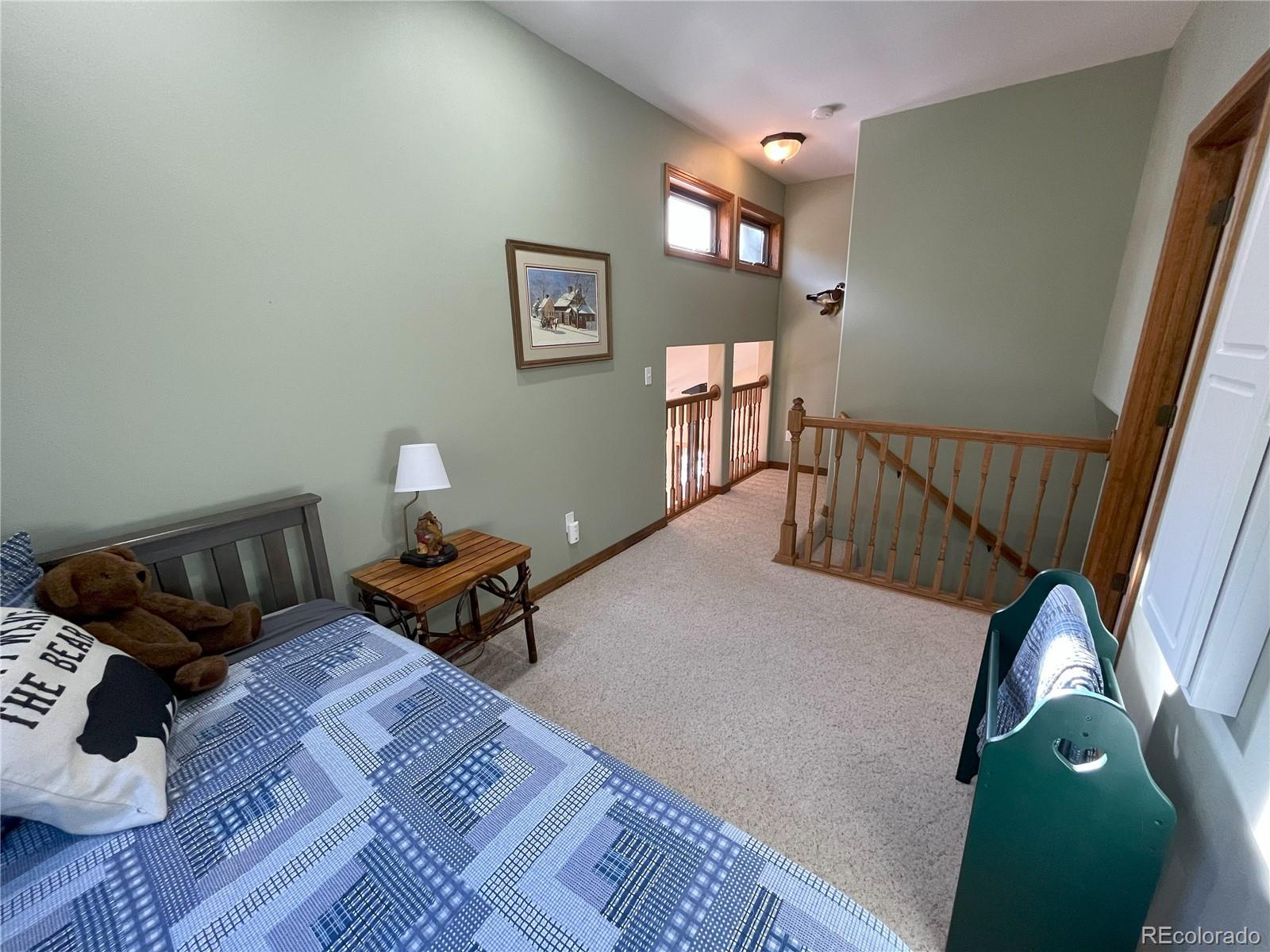 MLS Image #17 for 22526  county road 292 ,nathrop, Colorado