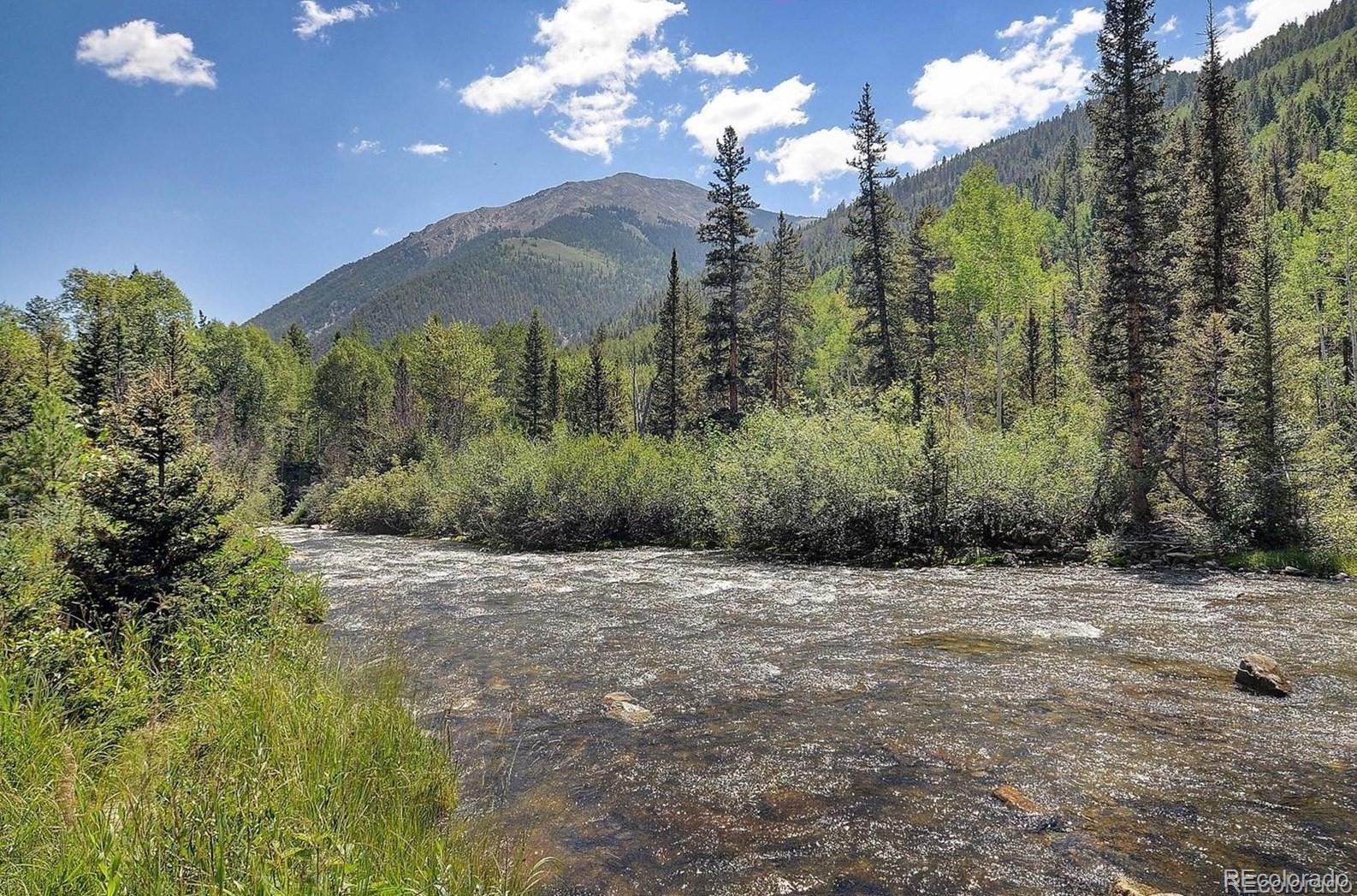MLS Image #2 for 22526  county road 292 ,nathrop, Colorado