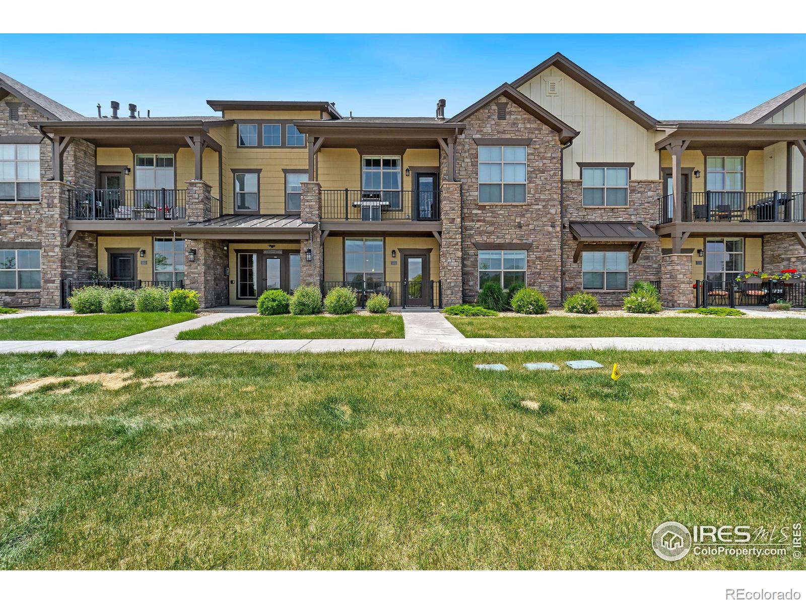 MLS Image #19 for 6672  crystal downs drive,windsor, Colorado