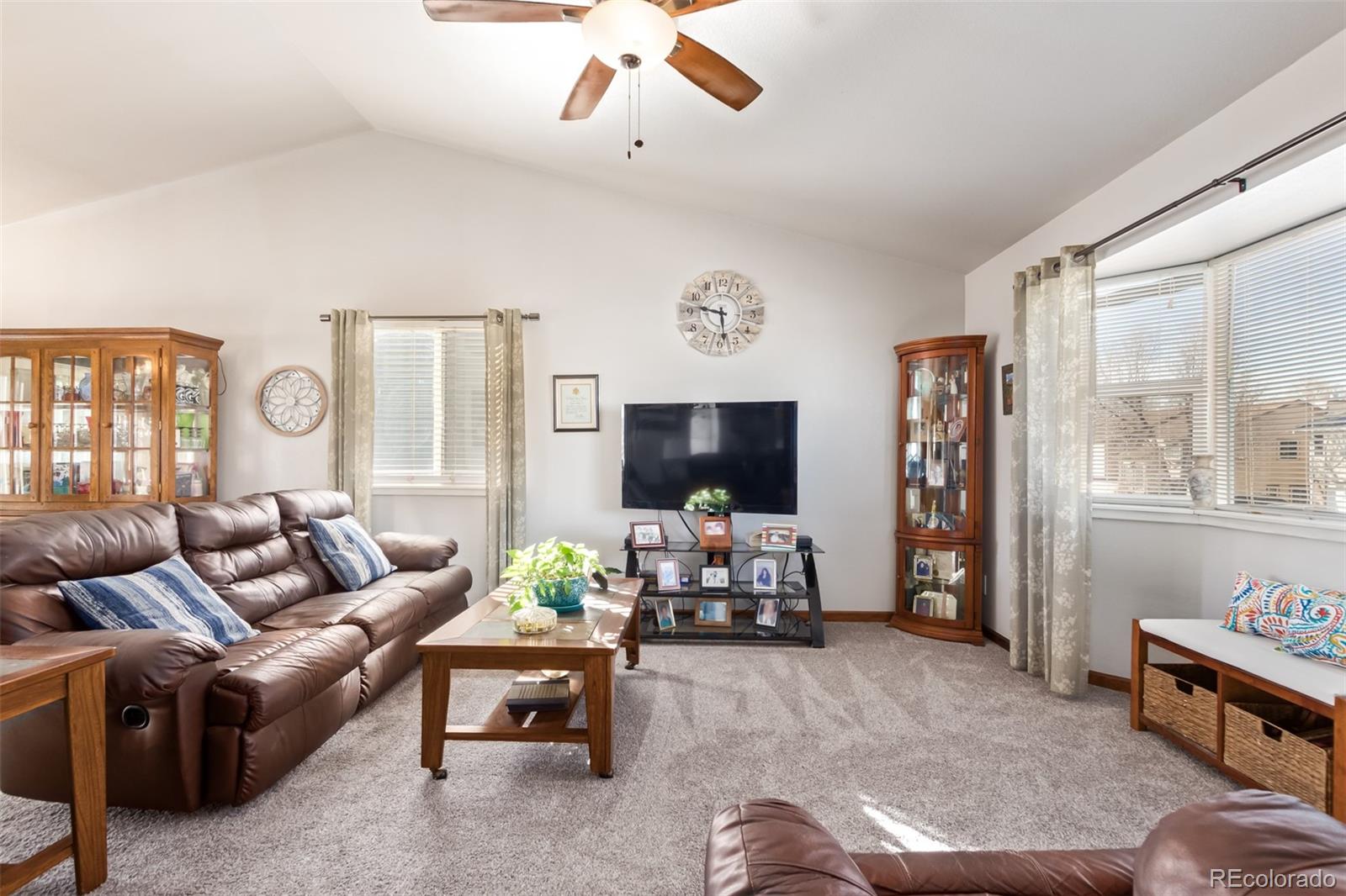 MLS Image #5 for 452 n 10th avenue,brighton, Colorado