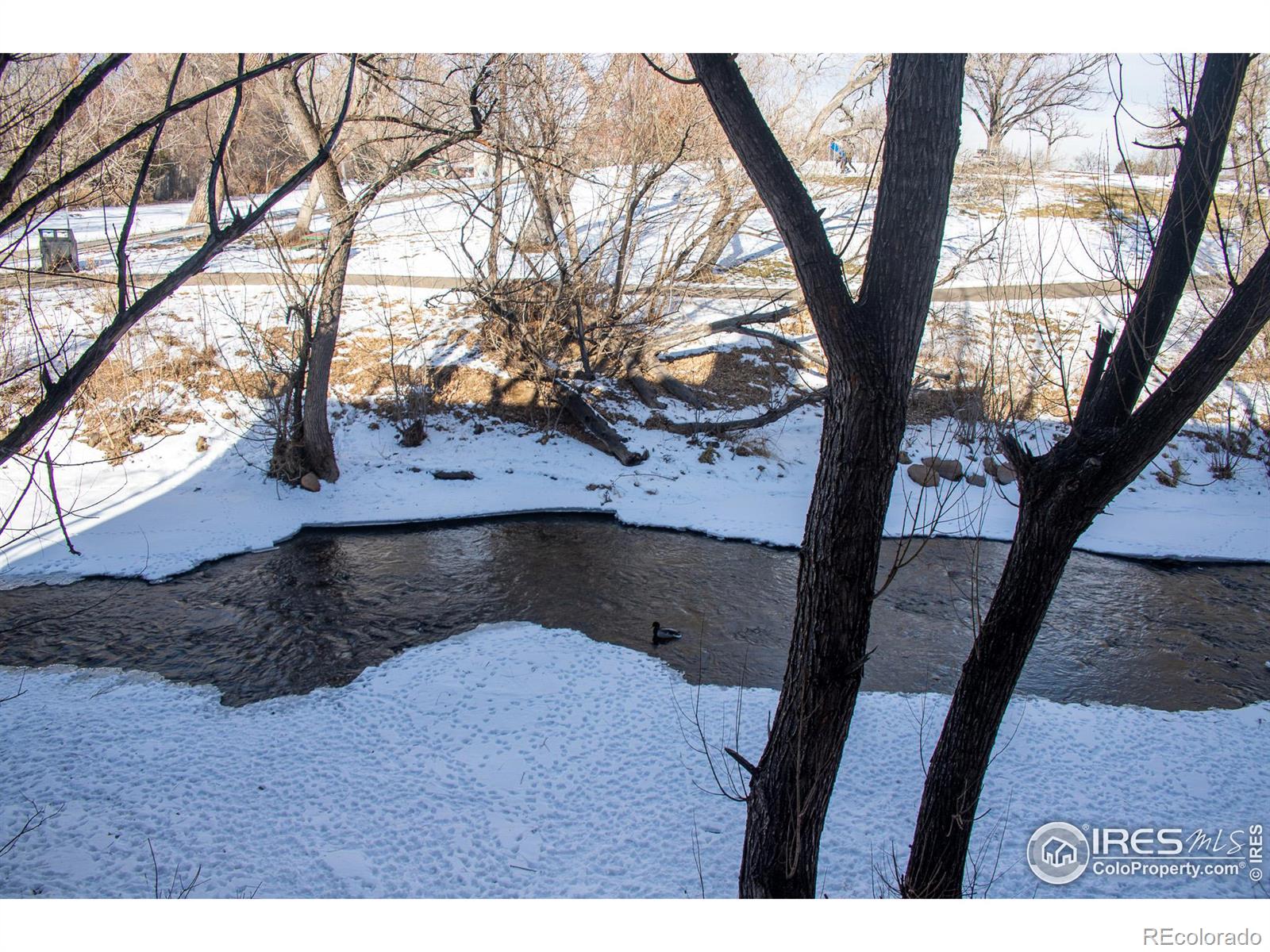 MLS Image #23 for 2905  shadow creek drive,boulder, Colorado