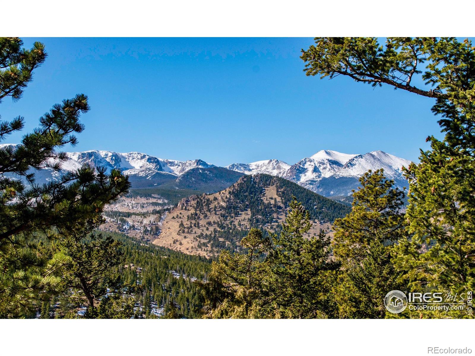 MLS Image #17 for 1440  jungfrau trail,estes park, Colorado