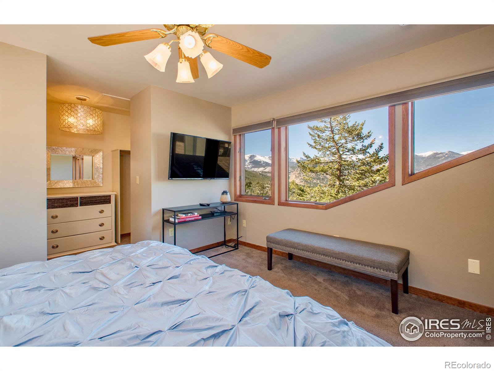 MLS Image #22 for 1440  jungfrau trail,estes park, Colorado