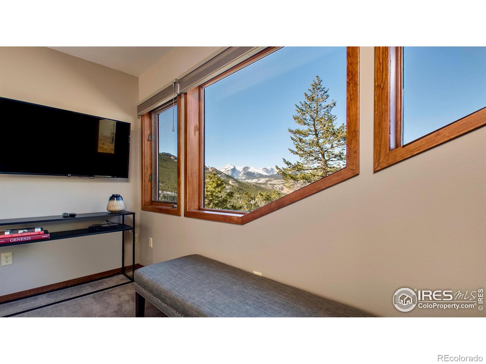 MLS Image #23 for 1440  jungfrau trail,estes park, Colorado