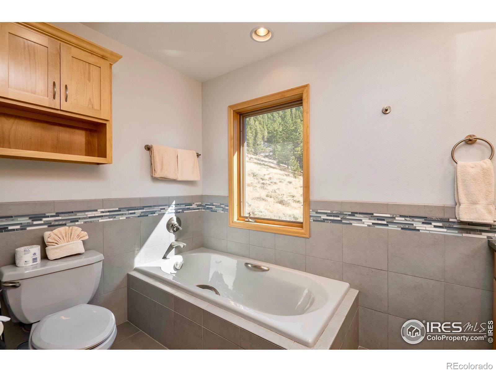 MLS Image #27 for 1440  jungfrau trail,estes park, Colorado