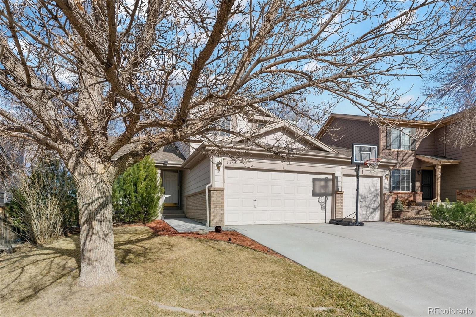 MLS Image #1 for 10460  cheetah winds ,littleton, Colorado
