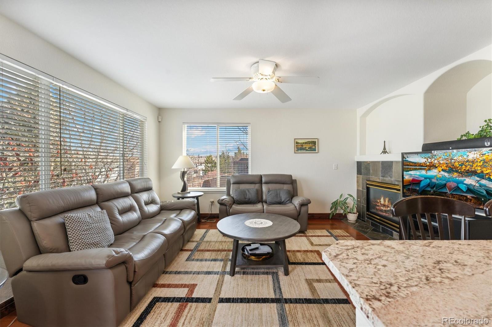 MLS Image #14 for 10460  cheetah winds ,littleton, Colorado