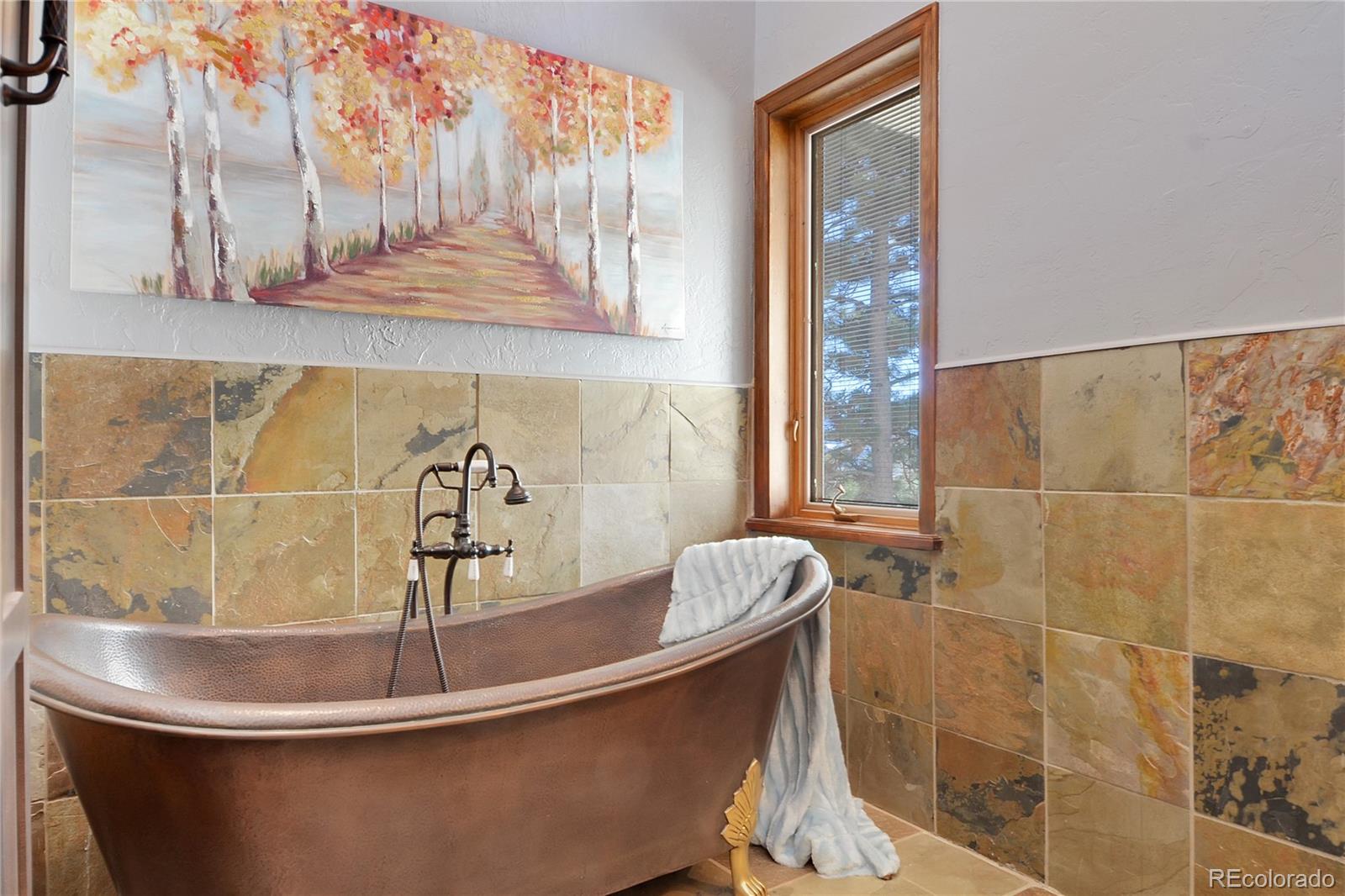 MLS Image #21 for 23765  currant drive,golden, Colorado