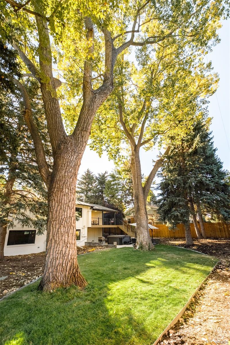 MLS Image #39 for 1975  union drive,lakewood, Colorado