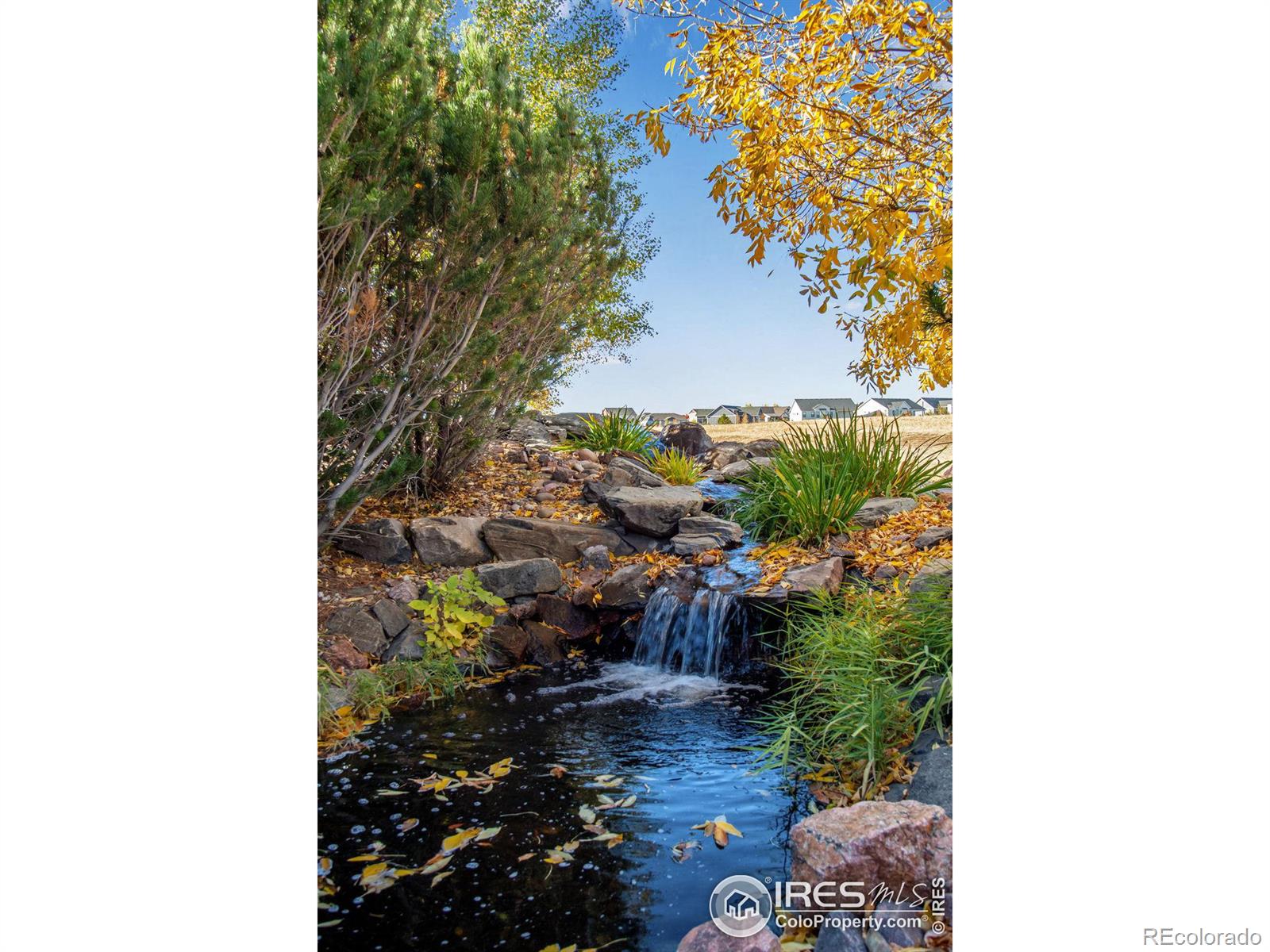 MLS Image #4 for 1449  hilltop circle,windsor, Colorado