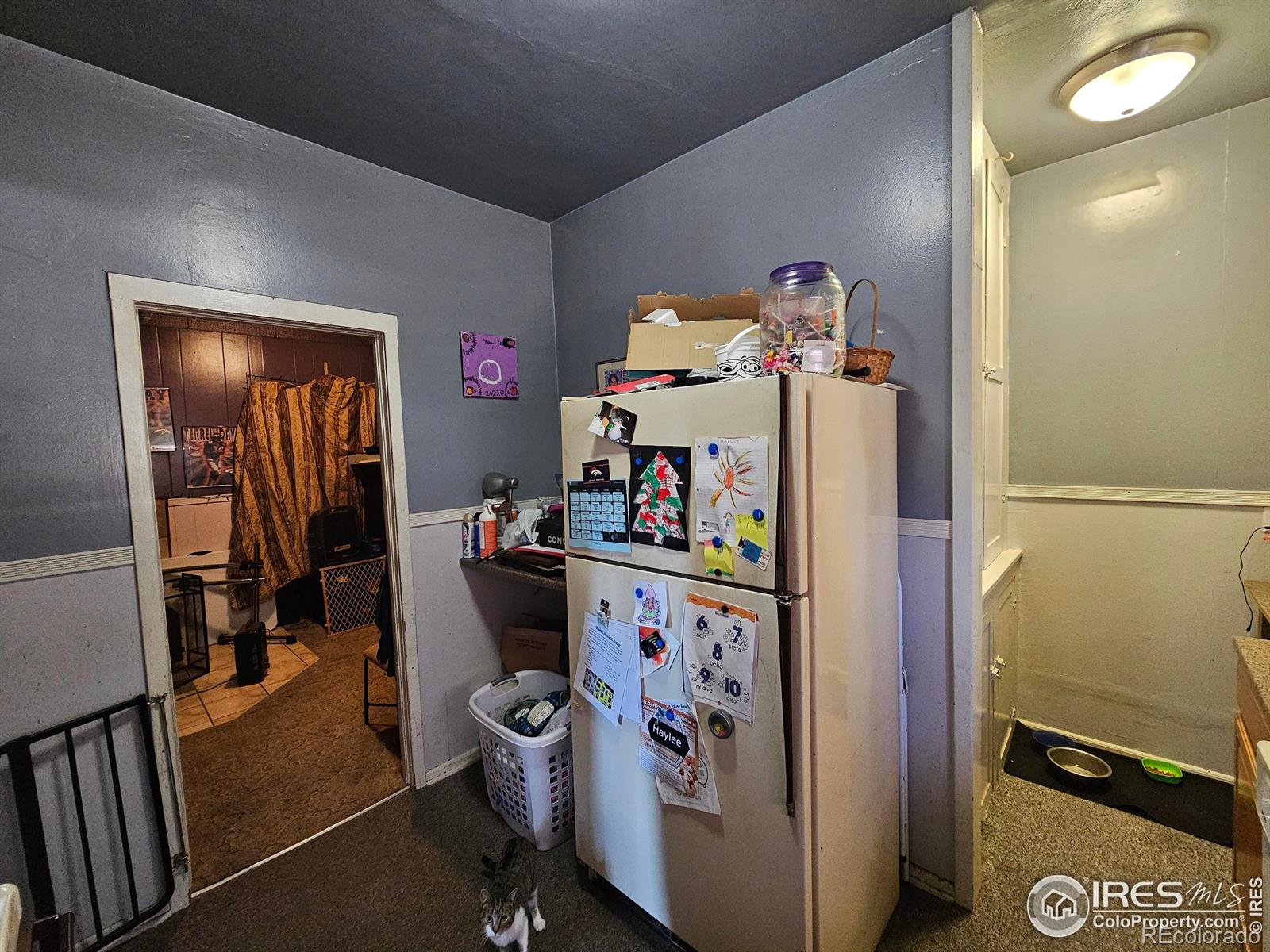 MLS Image #6 for 518  shaw avenue,peetz, Colorado