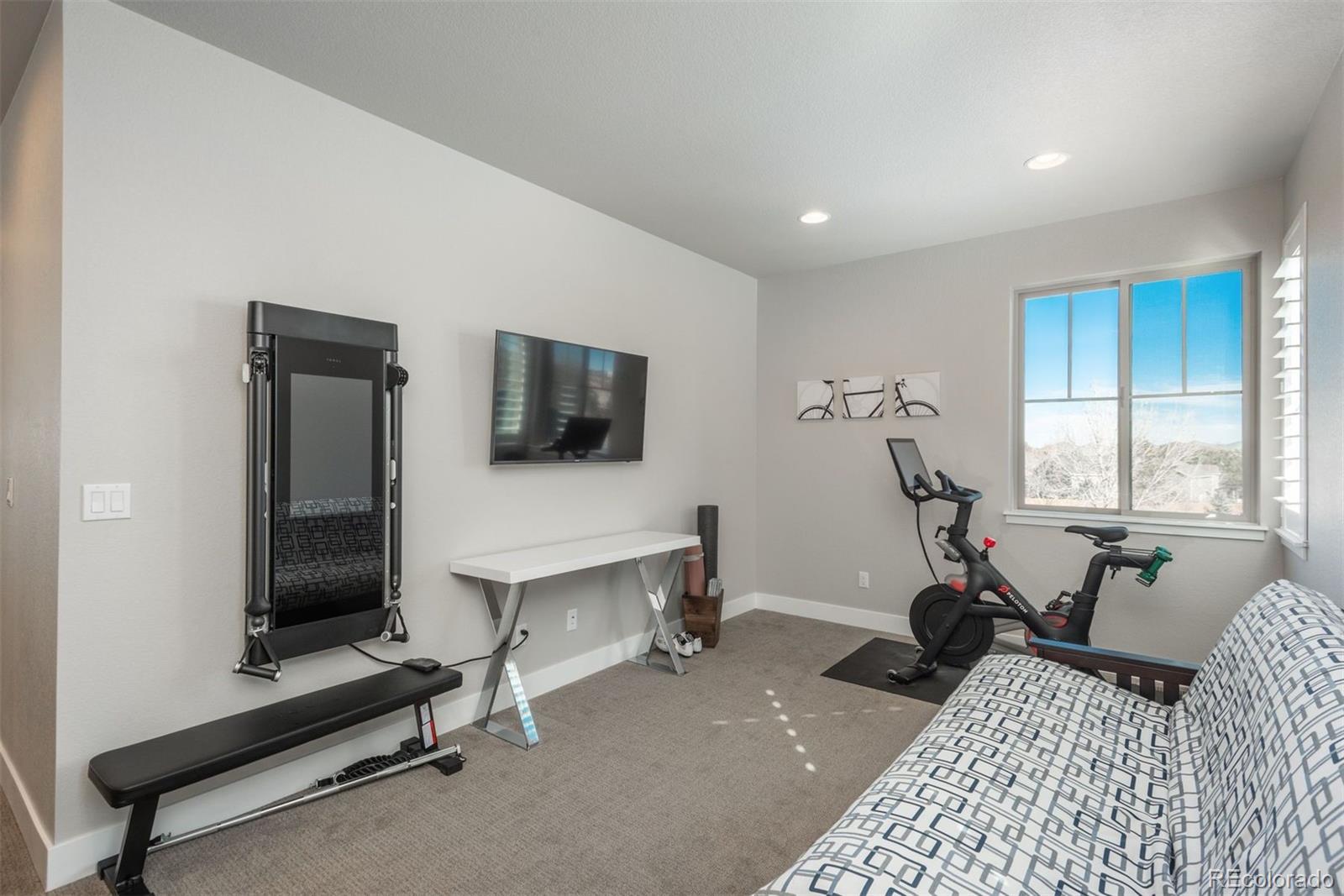 MLS Image #18 for 491  red thistle drive,highlands ranch, Colorado