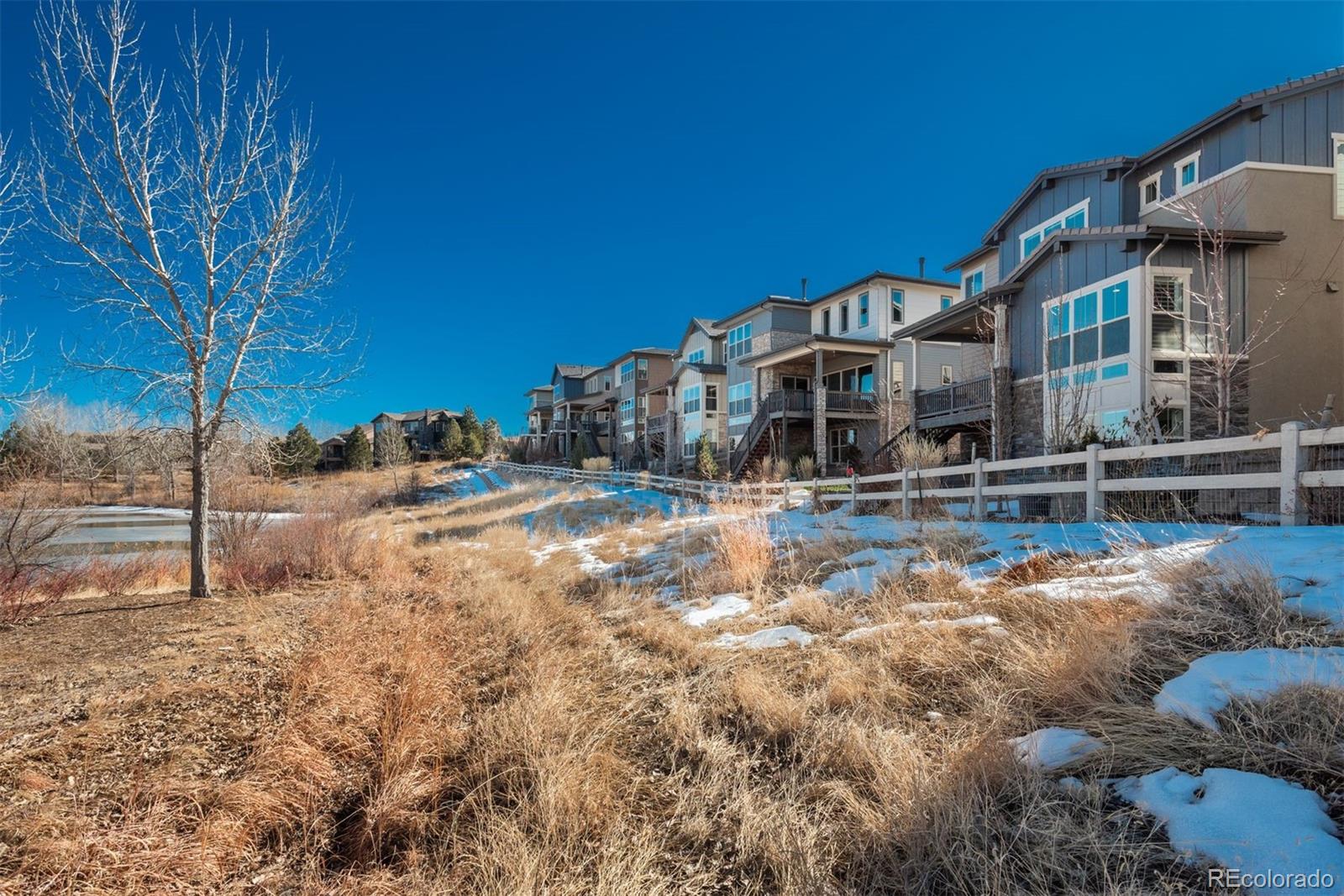 MLS Image #36 for 491  red thistle drive,highlands ranch, Colorado