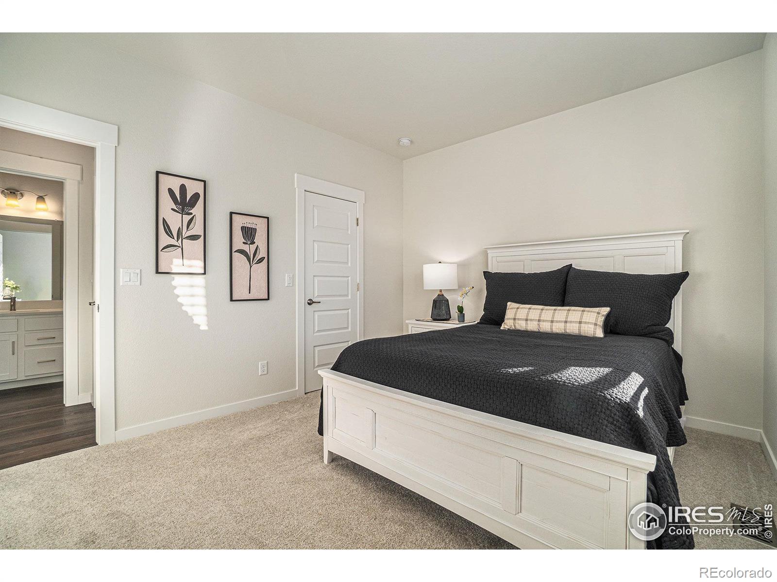 MLS Image #19 for 2129  bouquet drive,windsor, Colorado