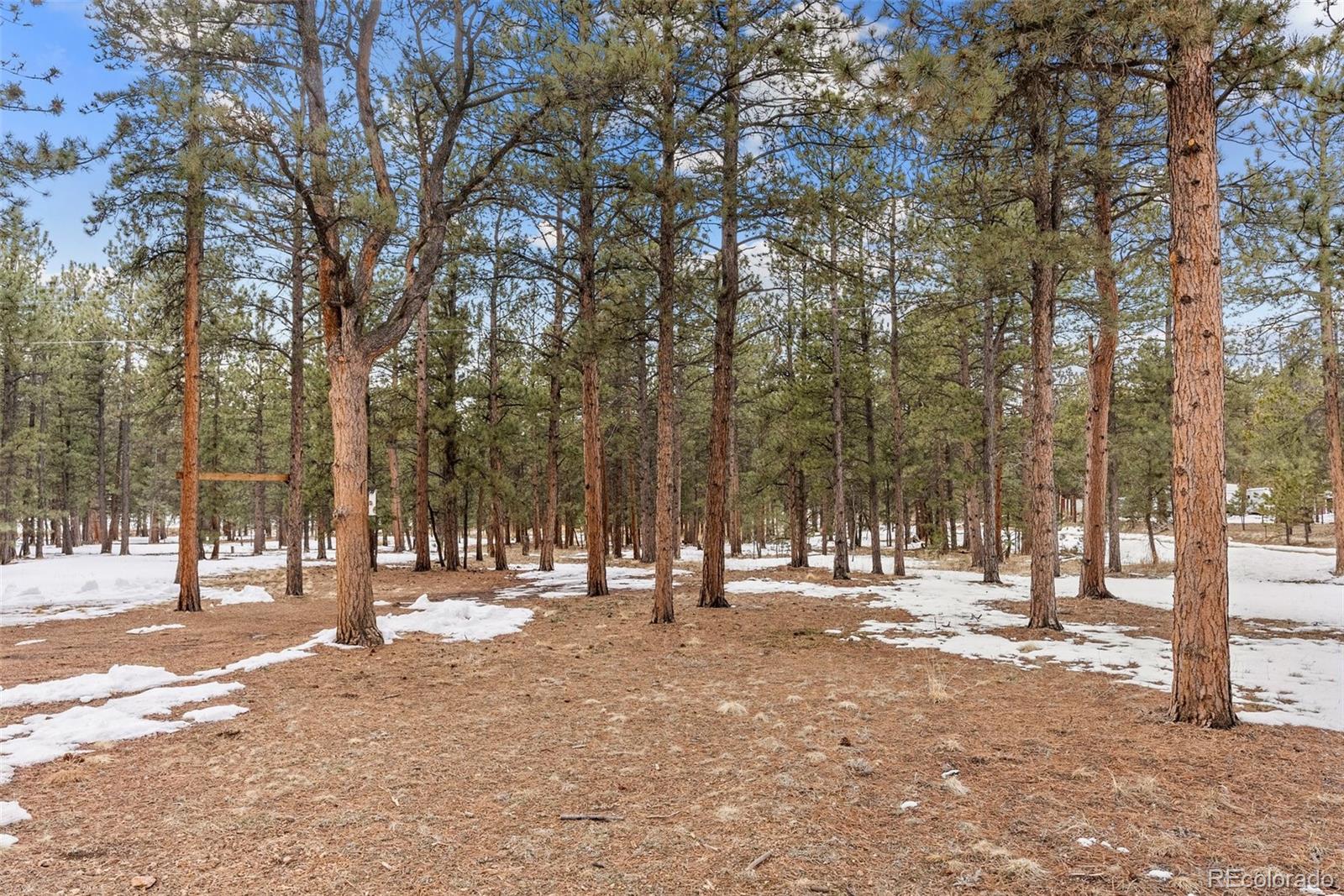 MLS Image #32 for 256  gunsmoke drive,bailey, Colorado