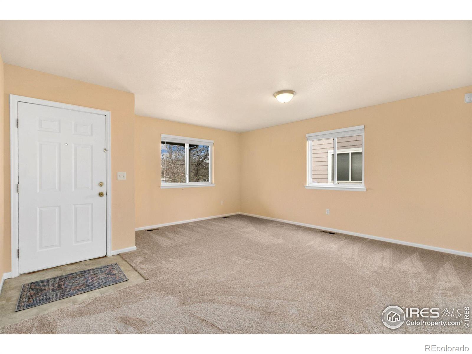 Report Image for 686  Lavastone Avenue,Loveland, Colorado