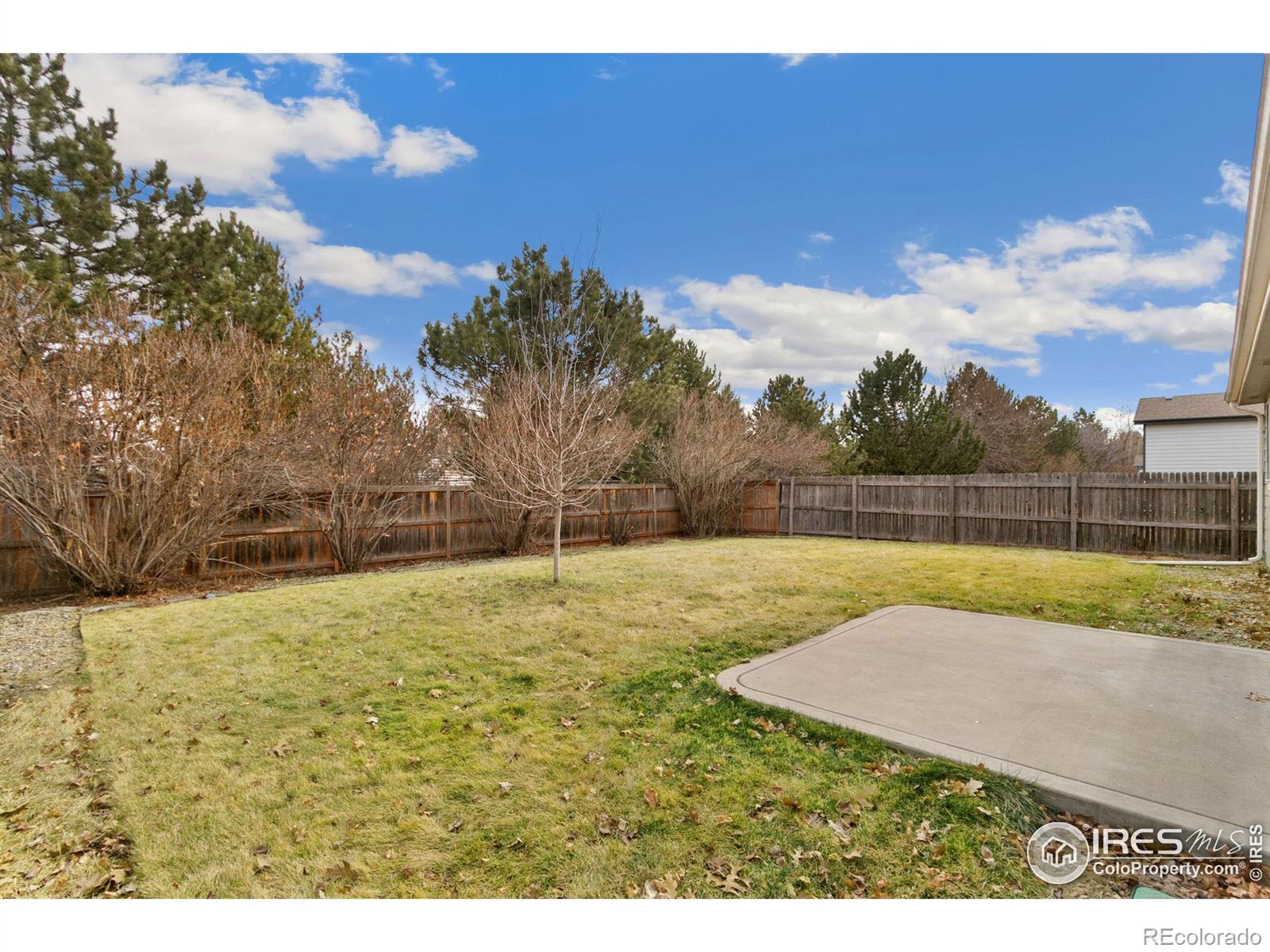 MLS Image #13 for 686  lavastone avenue,loveland, Colorado