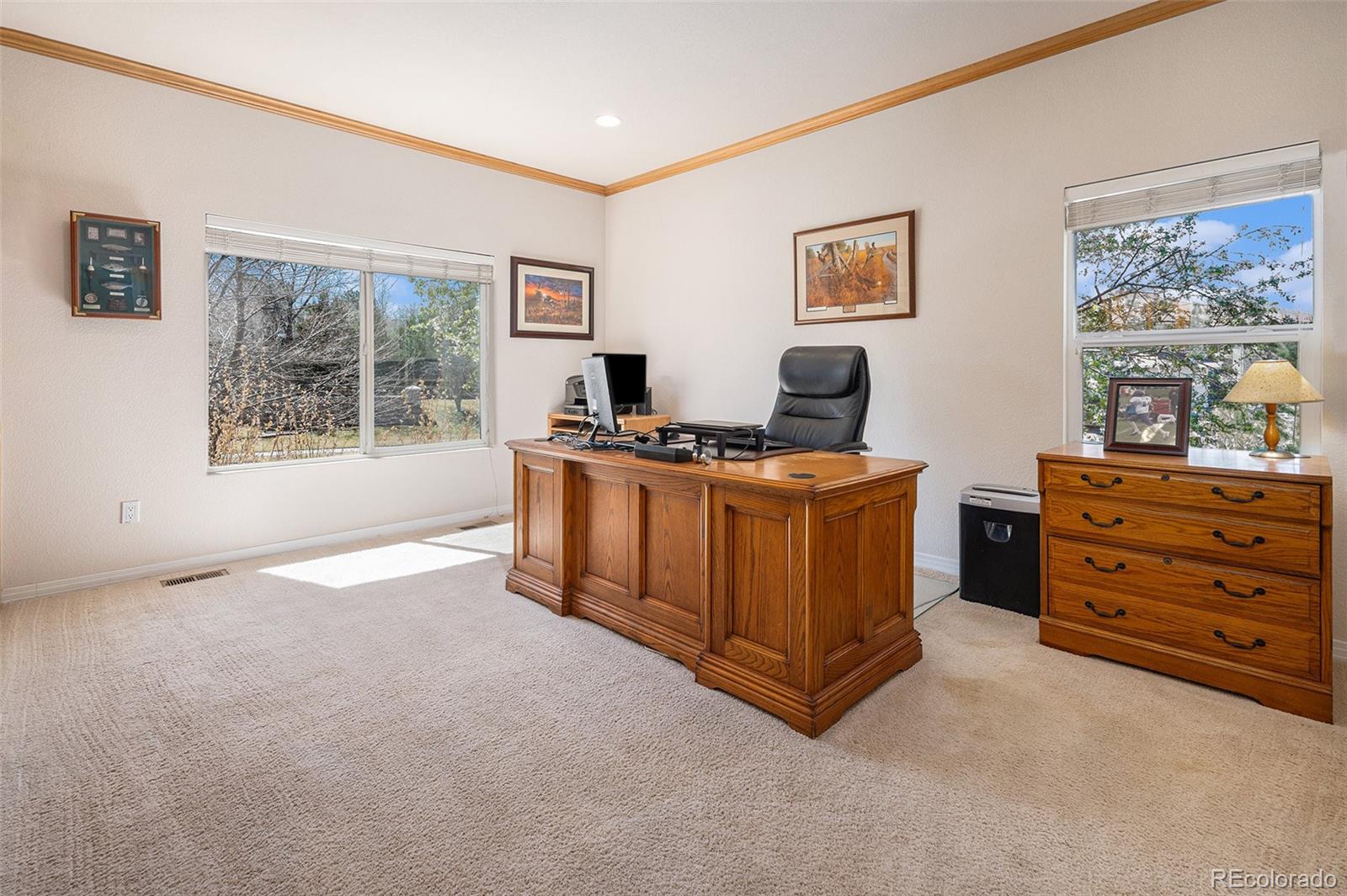 MLS Image #12 for 16867 e lake drive,centennial, Colorado