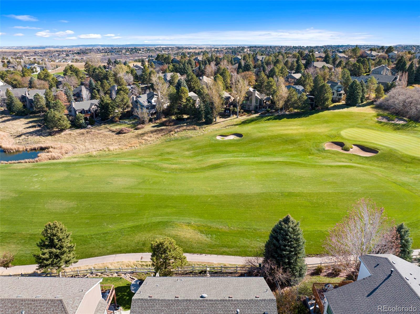 MLS Image #45 for 1134  berganot trail,castle pines, Colorado