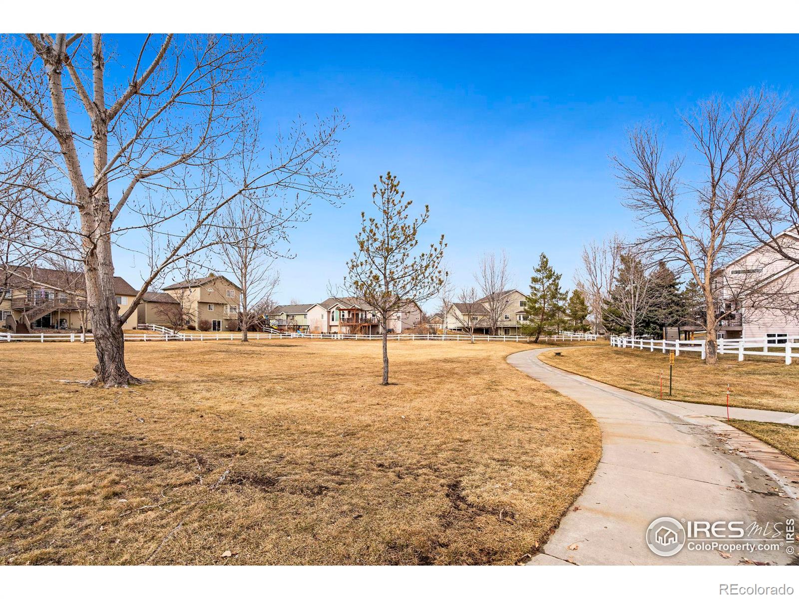 MLS Image #33 for 582  marcellina drive,loveland, Colorado