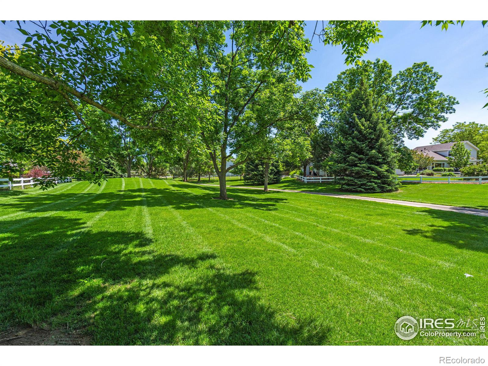 MLS Image #37 for 582  marcellina drive,loveland, Colorado