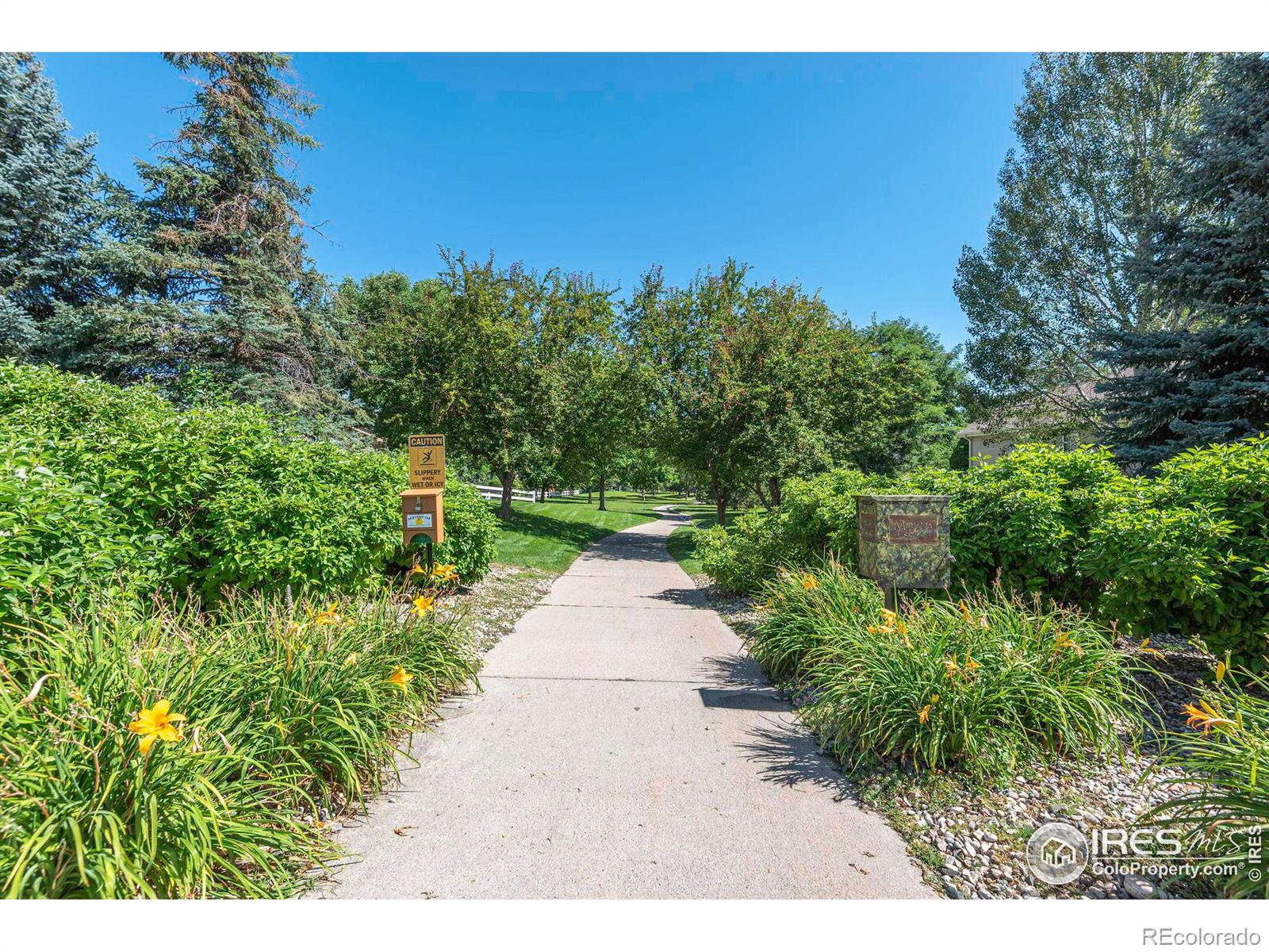 MLS Image #39 for 582  marcellina drive,loveland, Colorado