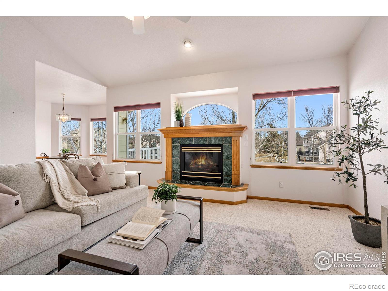 MLS Image #7 for 582  marcellina drive,loveland, Colorado