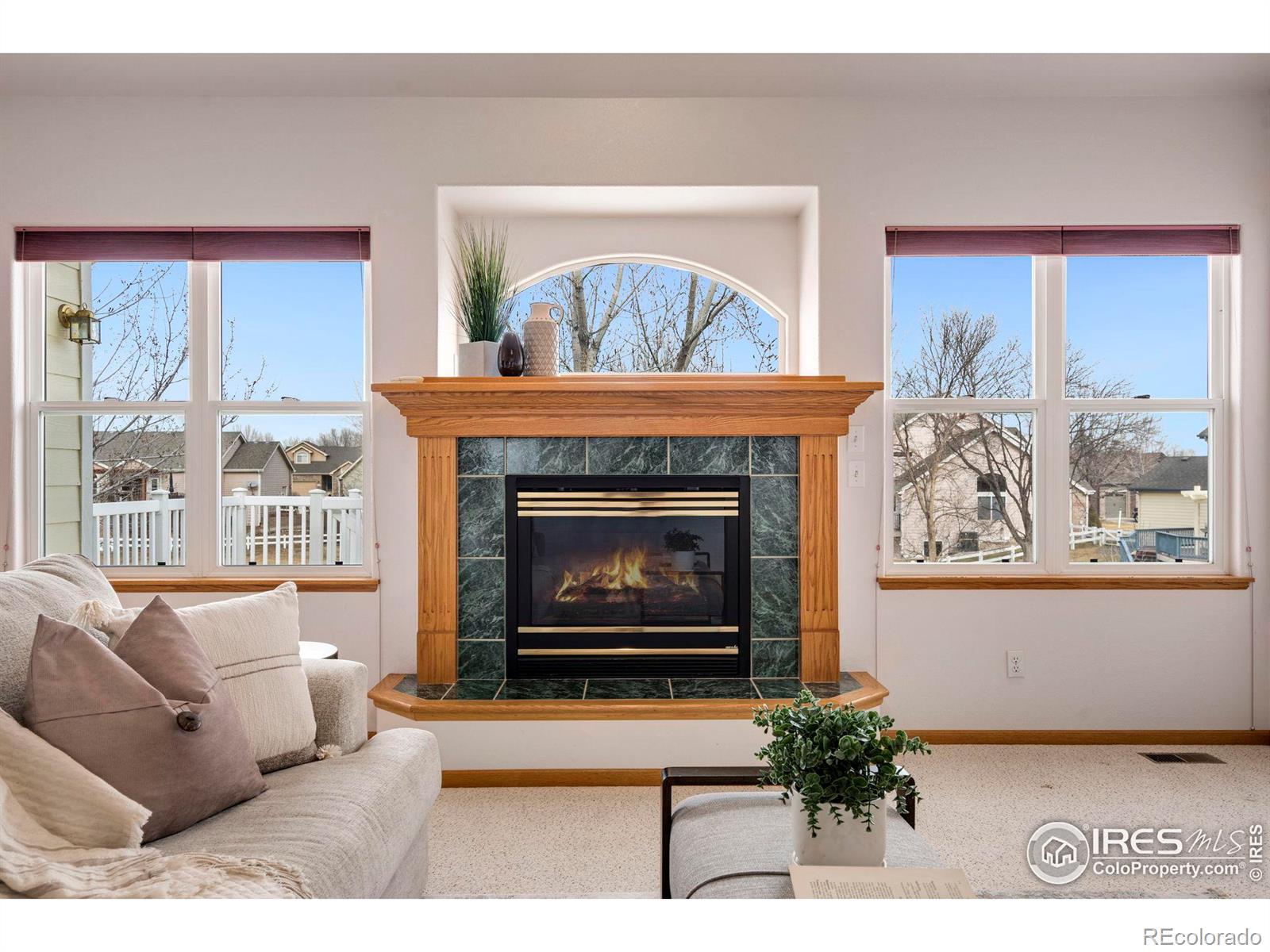 MLS Image #9 for 582  marcellina drive,loveland, Colorado