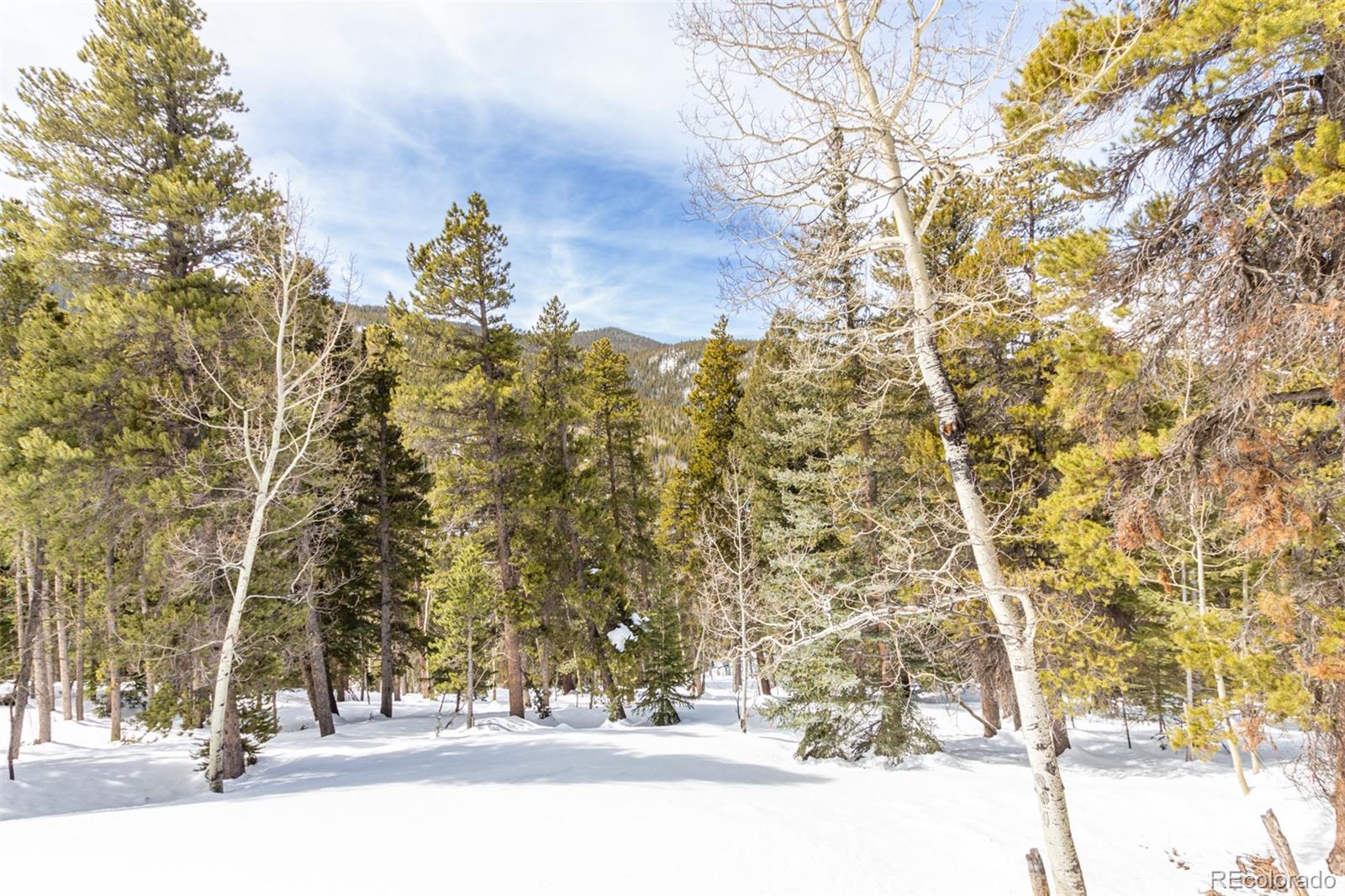 MLS Image #6 for 257  mountain view drive,idaho springs, Colorado