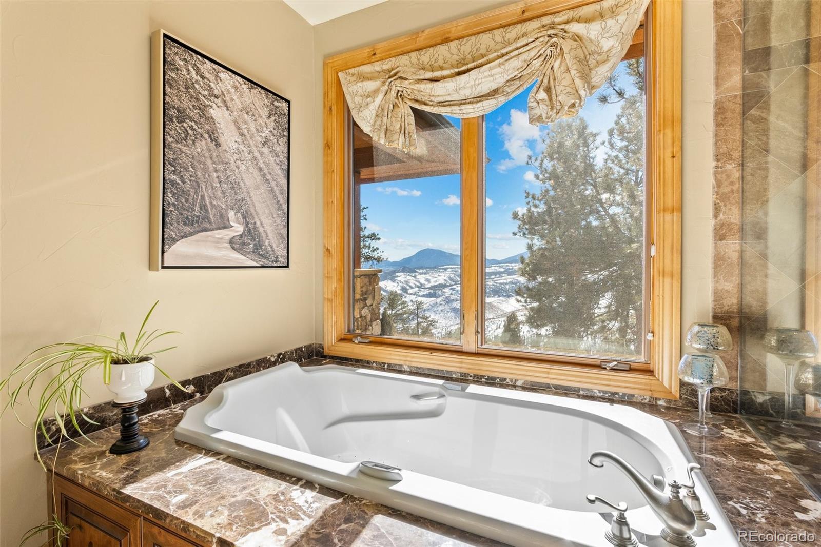 MLS Image #22 for 14965  wetterhorn peak trail,pine, Colorado