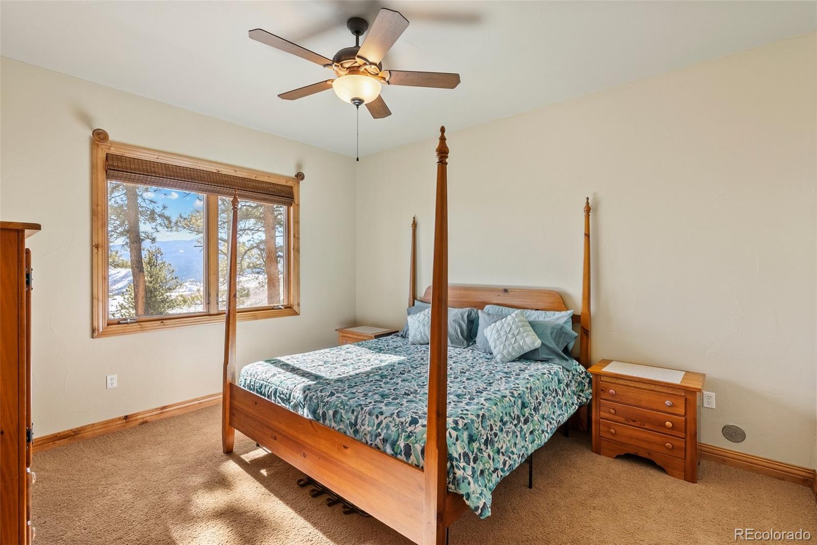 MLS Image #38 for 14965  wetterhorn peak trail,pine, Colorado