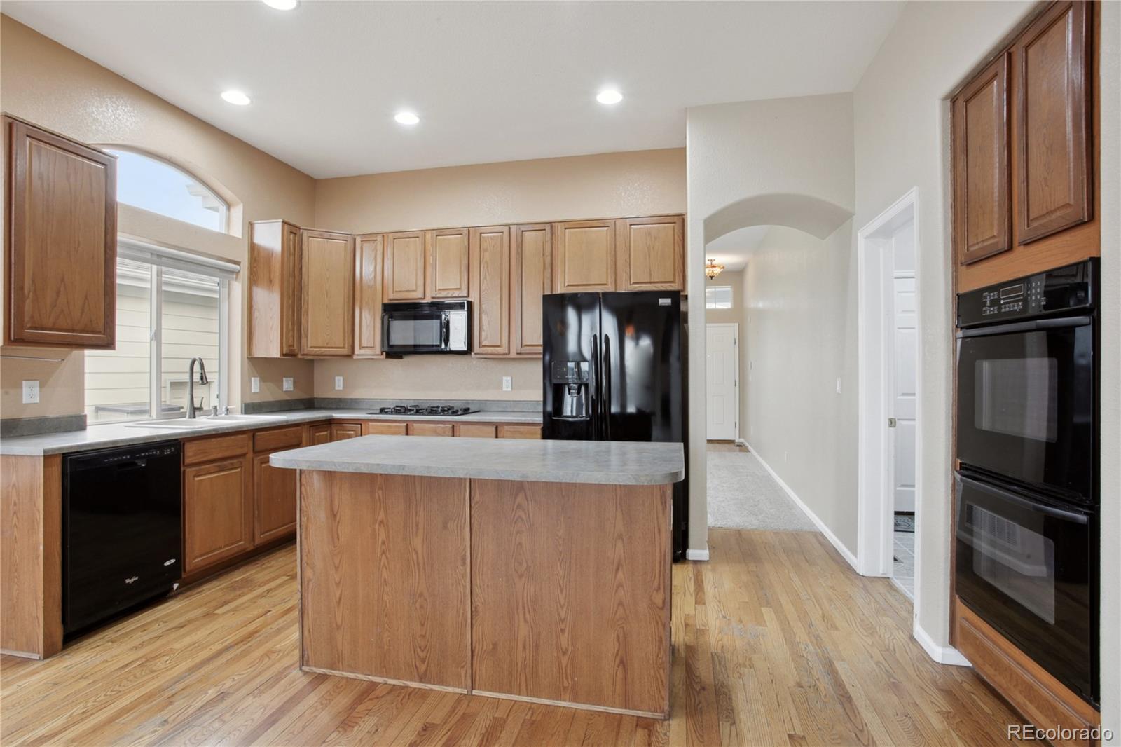 MLS Image #6 for 3953  lazy k drive,castle rock, Colorado