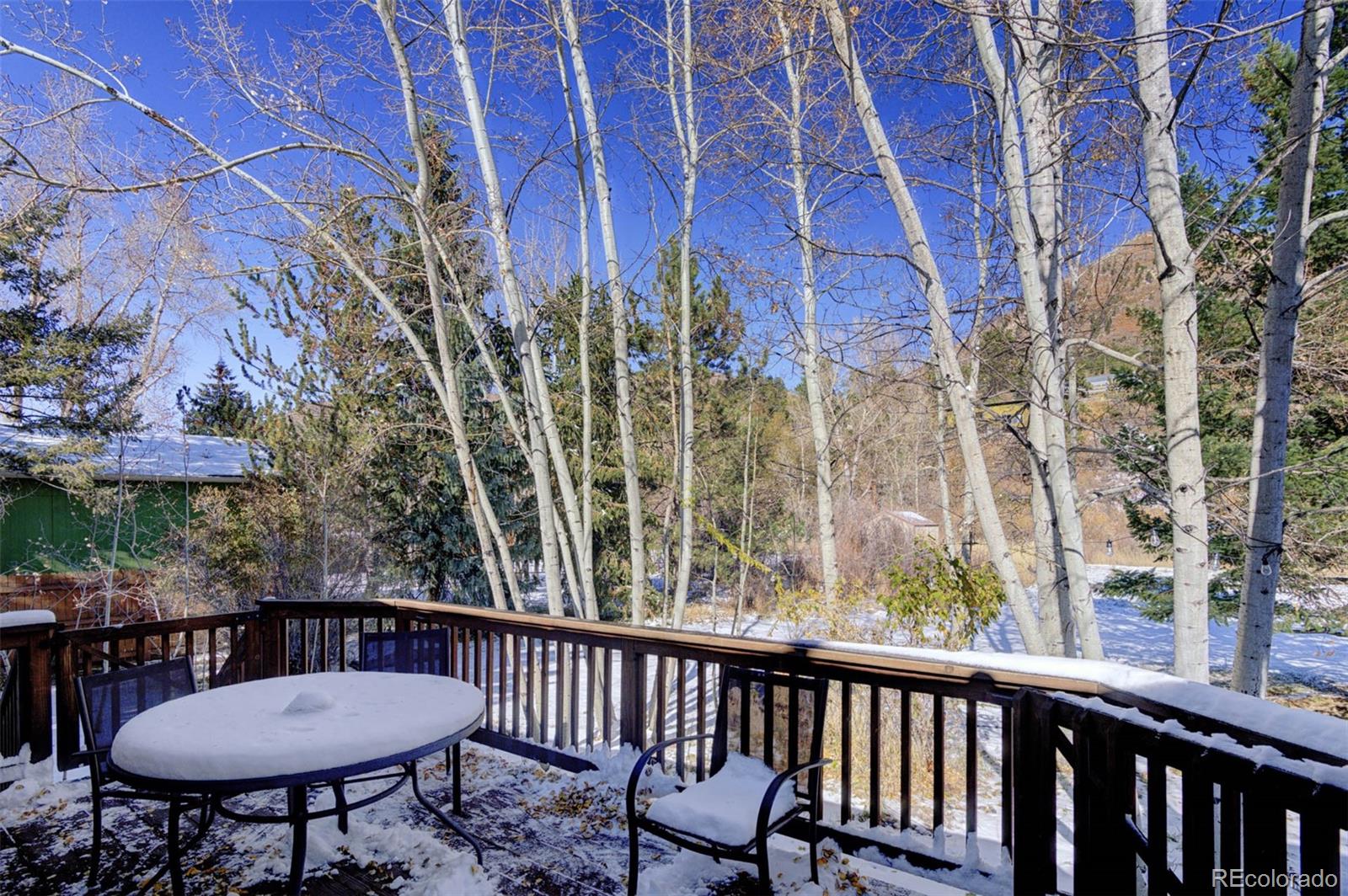 MLS Image #23 for 8660  chipita park road,cascade, Colorado