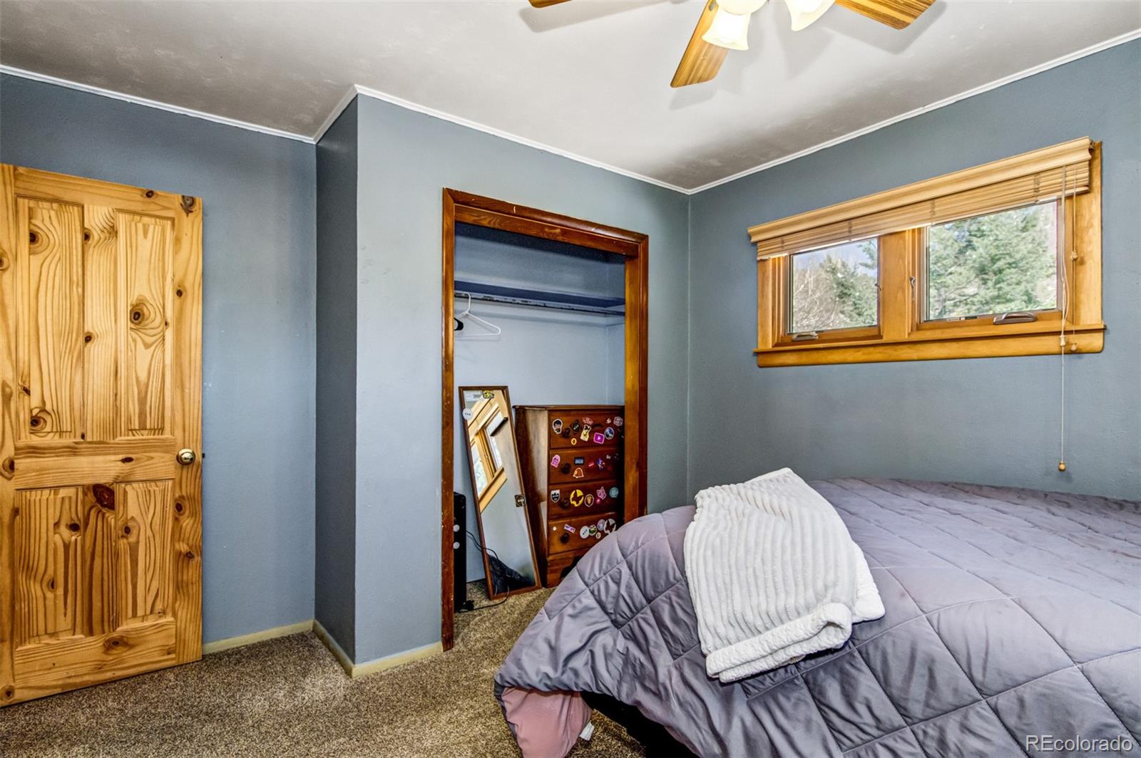 MLS Image #28 for 8660  chipita park road,cascade, Colorado