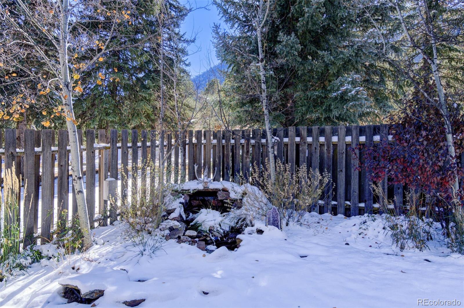 MLS Image #3 for 8660  chipita park road,cascade, Colorado