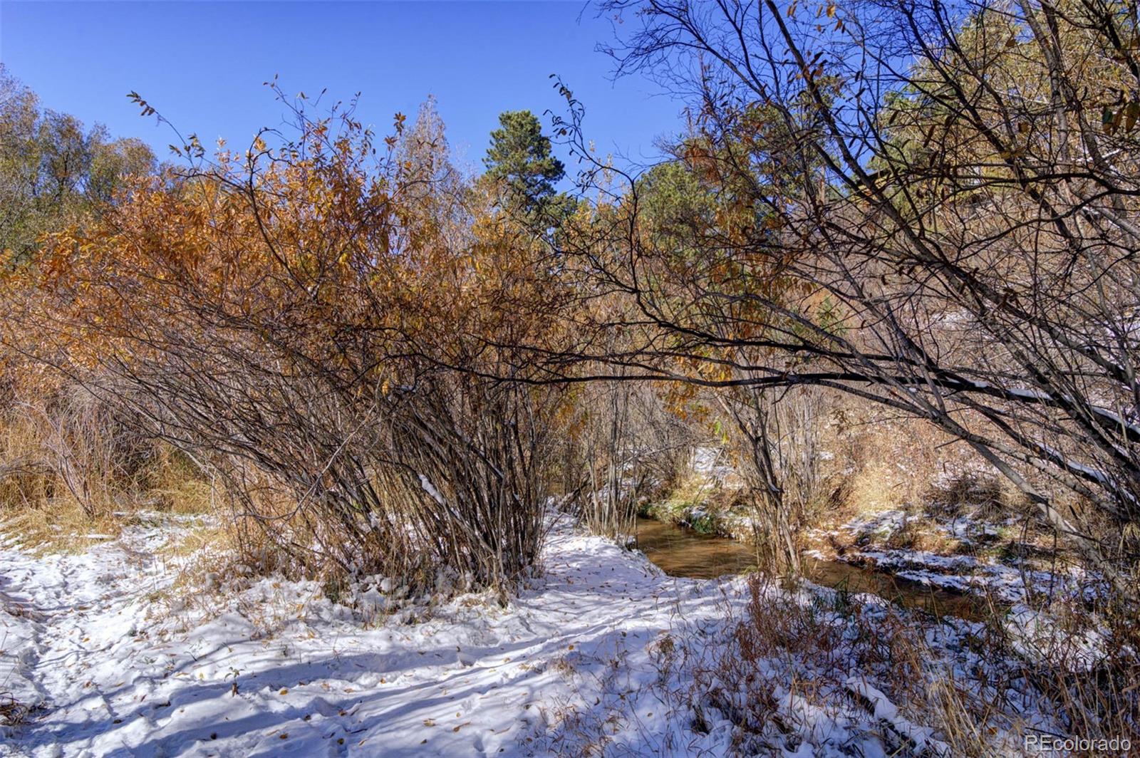 MLS Image #40 for 8660  chipita park road,cascade, Colorado