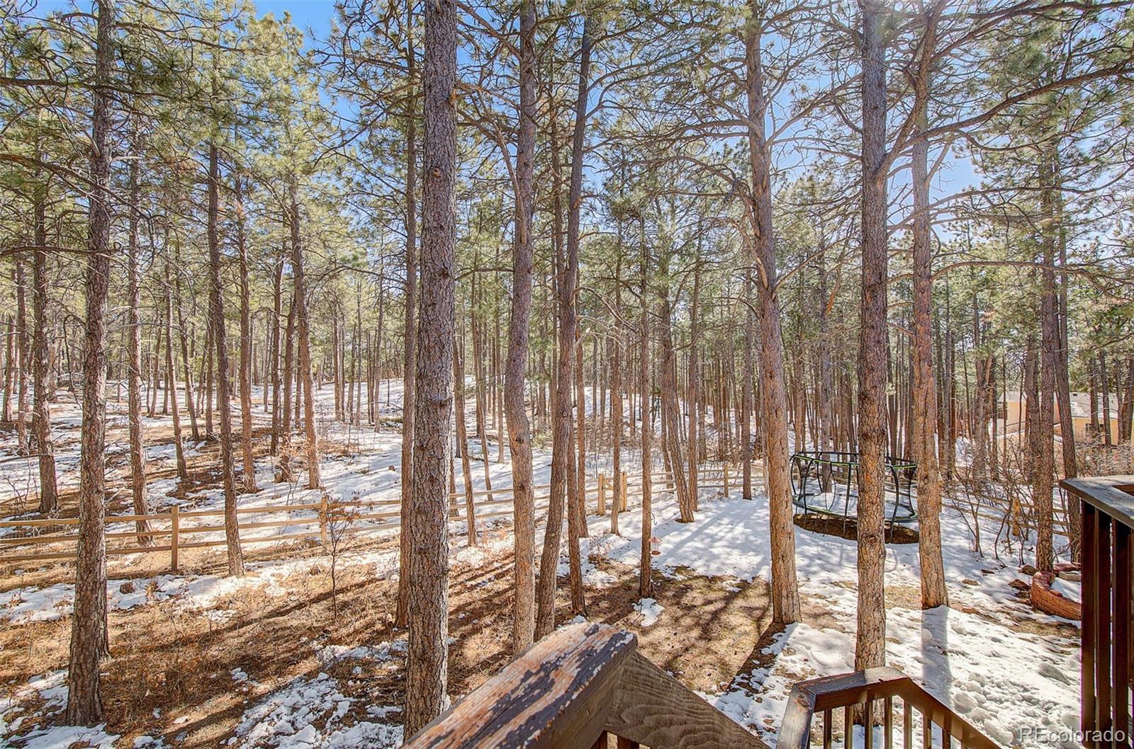 MLS Image #45 for 1062  golden pine lane,monument, Colorado