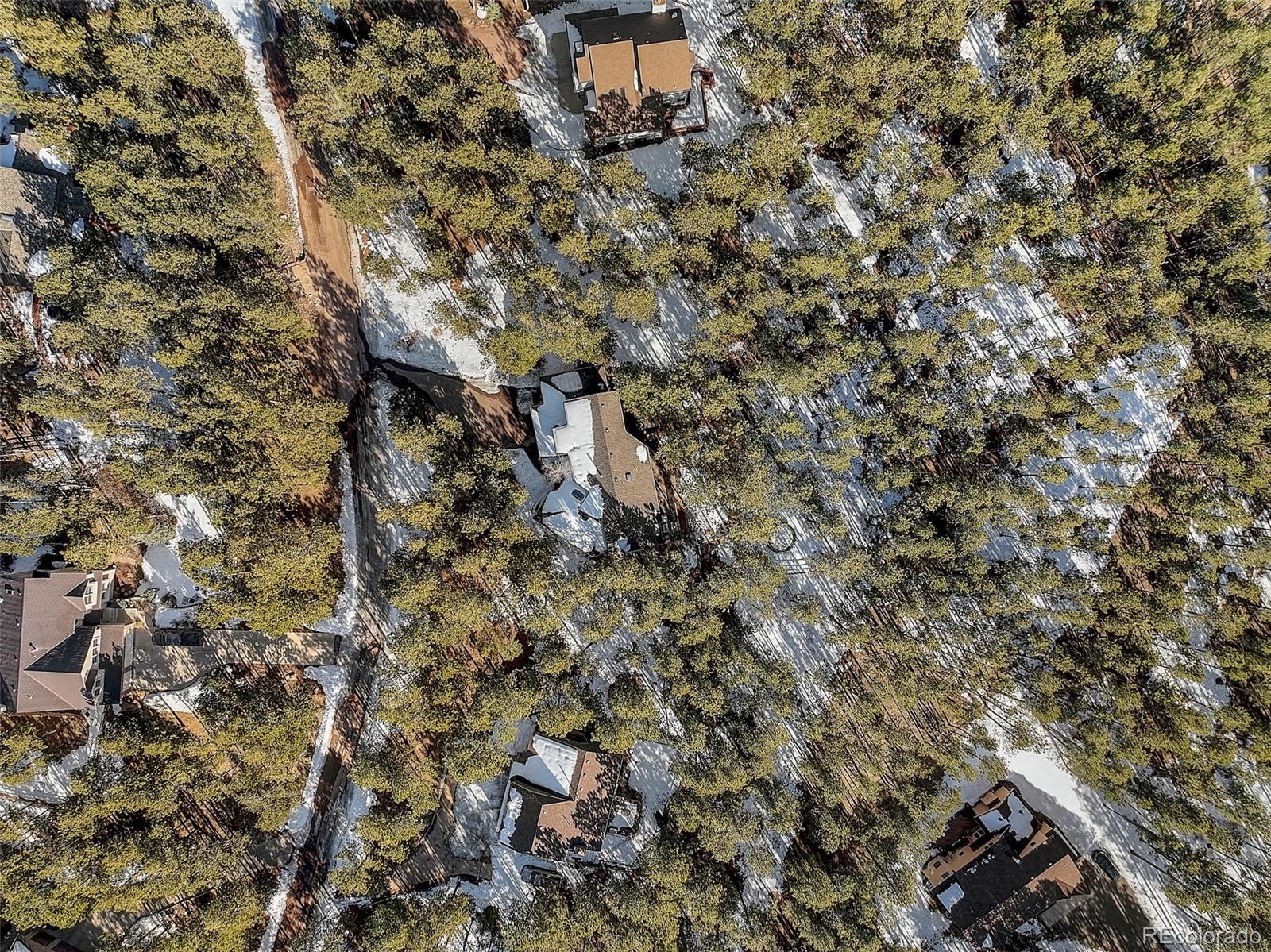 MLS Image #48 for 1062  golden pine lane,monument, Colorado