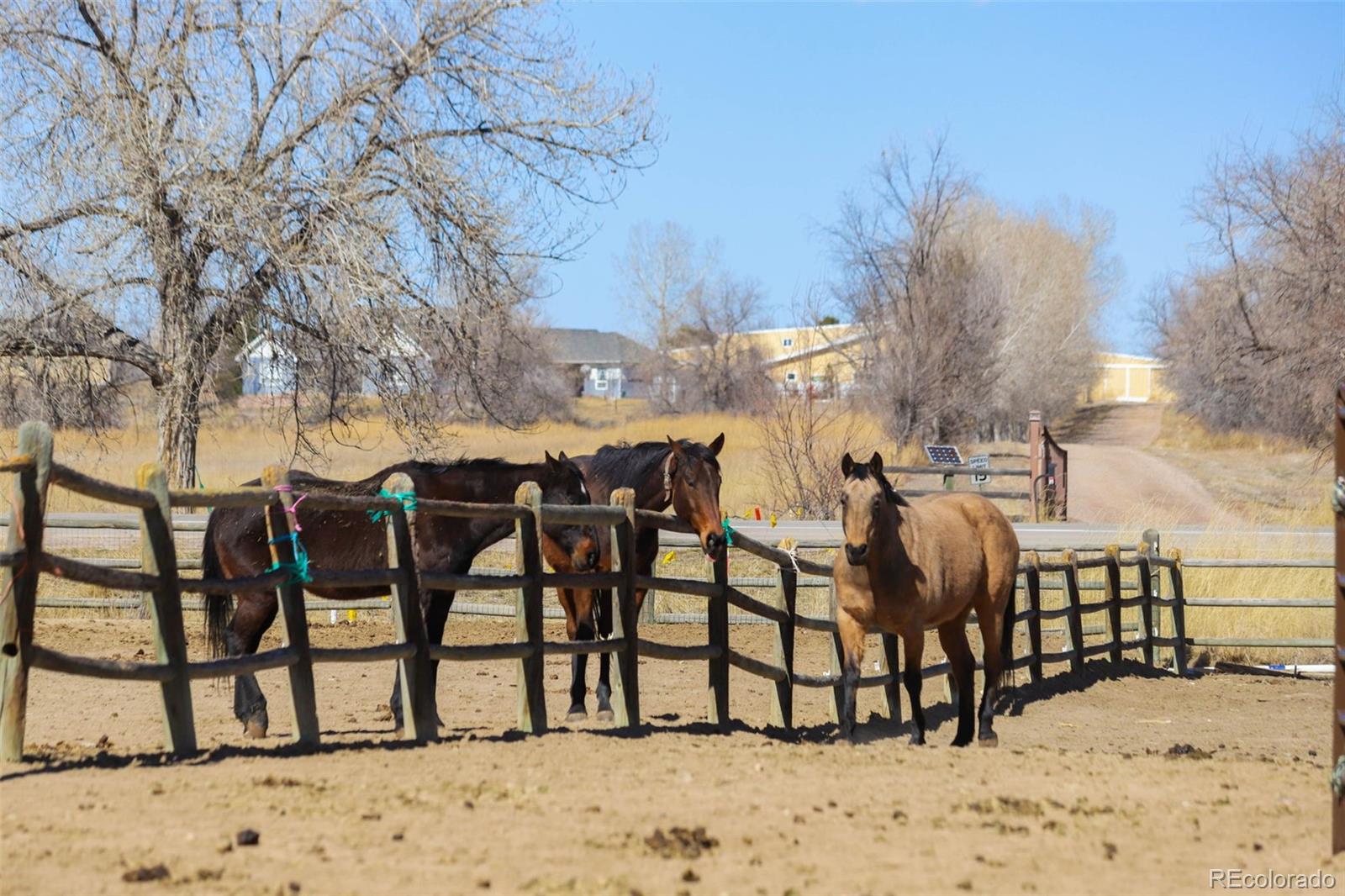 MLS Image #28 for 605  boulder circle,fort collins, Colorado