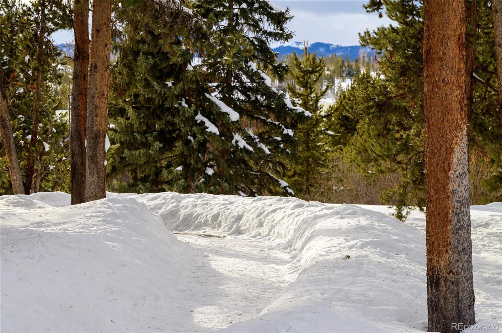 MLS Image #20 for 471  hi country drive,winter park, Colorado