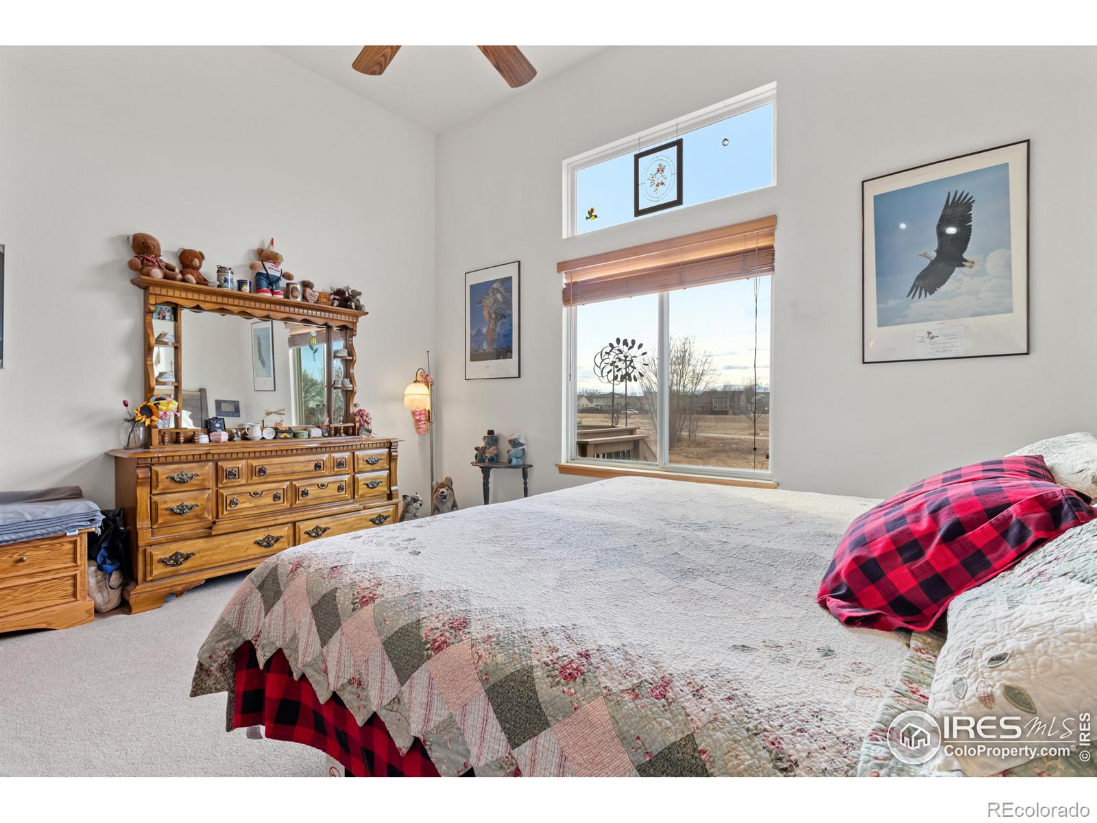 MLS Image #13 for 10353  dahlia street,firestone, Colorado